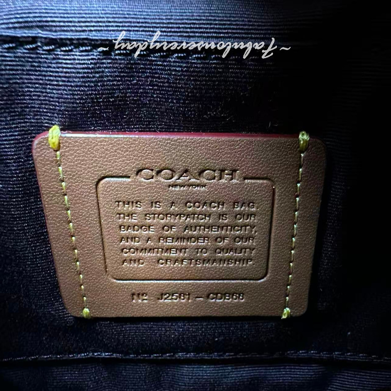 Coach Faye Mini Drawstring Bag In Crinkle Leather/Gold/Dark Cardinal CDB68 NWT