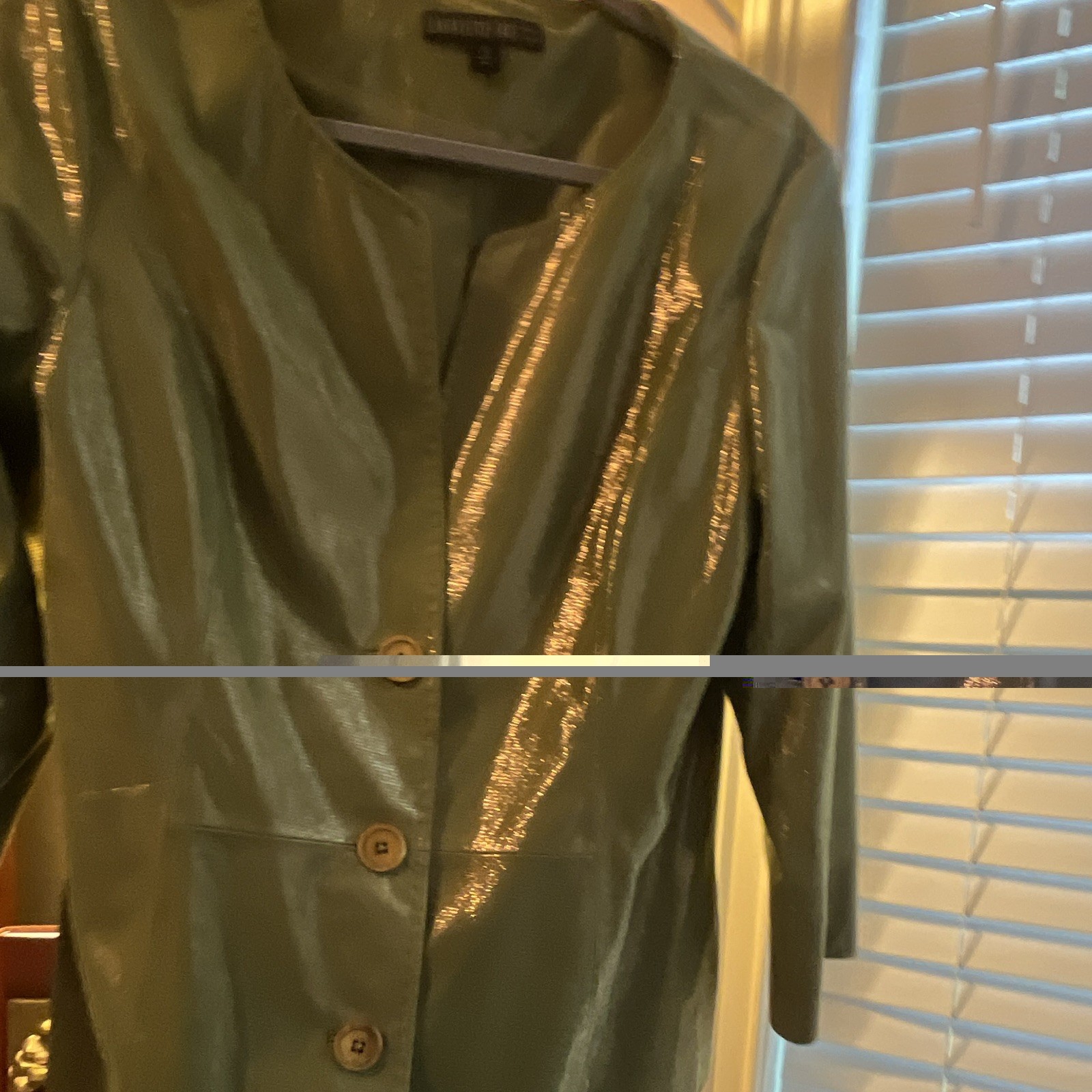 Lafayette 148 Women’s Green Metallic Leather Button Front Short Jacket Size 12