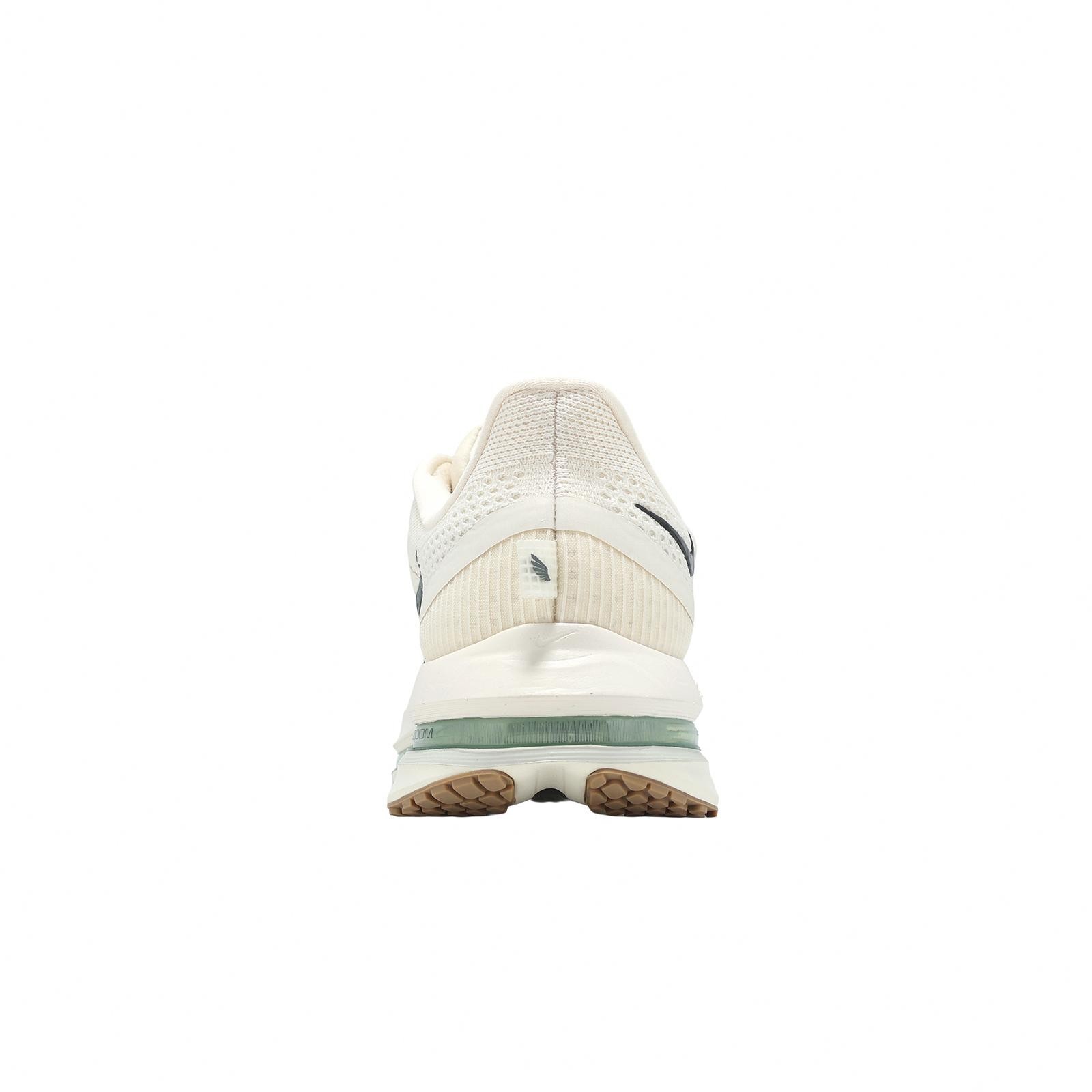 Nike Pegasus Premium Pale Ivory Black Spruce Men Road Running Shoes HQ2592-106