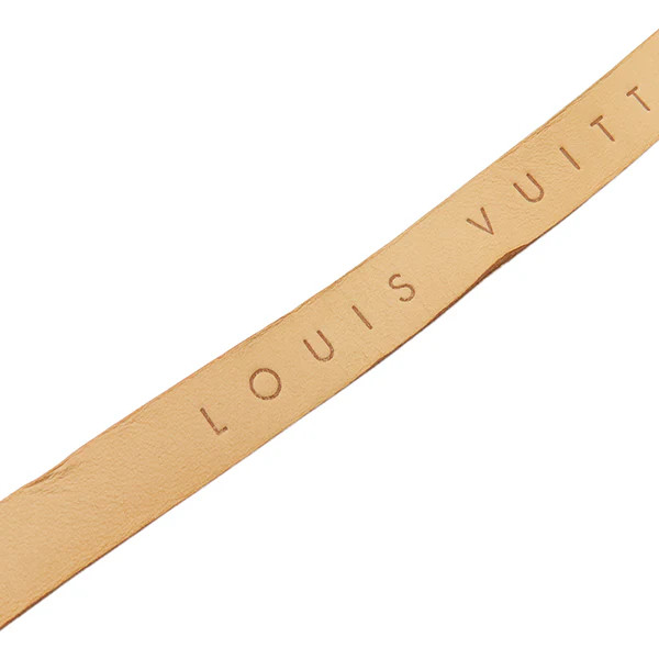 Louis Vuitton Pochette Florentine Waist Bag M51859 Monogram Unisex #HDB574