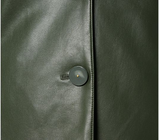 Dennis Basso Regular Luxe Faux Leather Jacket NWT A659814