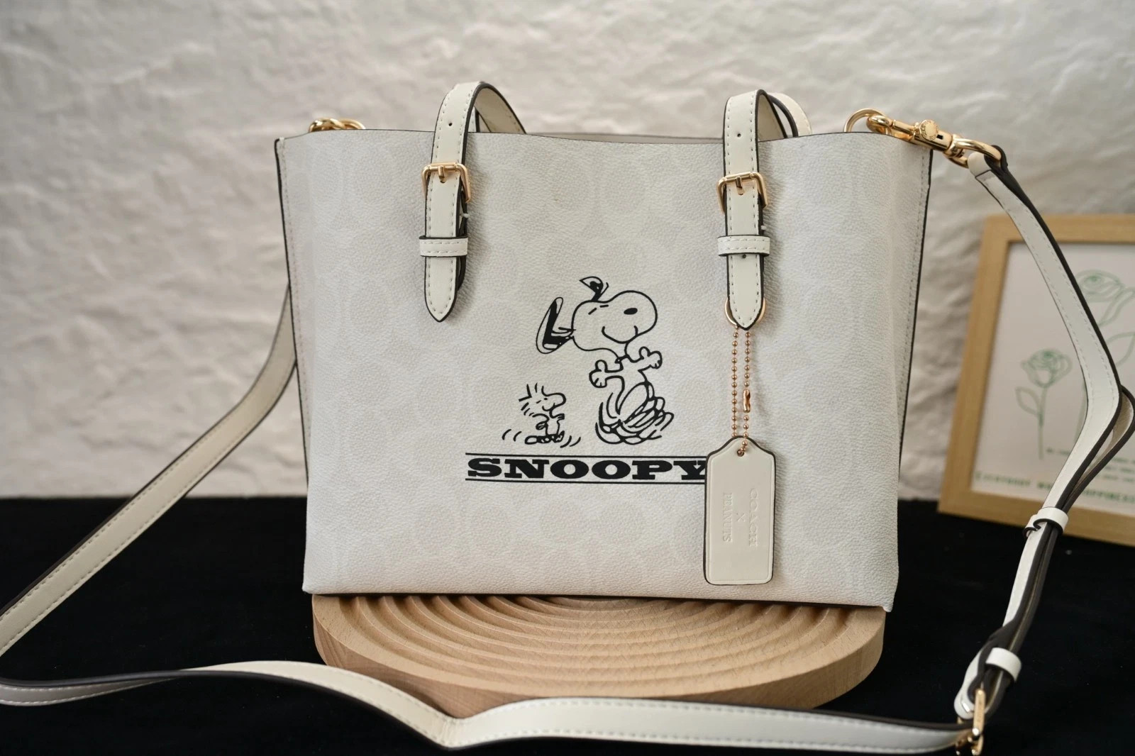 COACH × PEANUTS Collaboration Mollie Tote Bag 25 Snoopy CBJ87 Canvas New Outlet