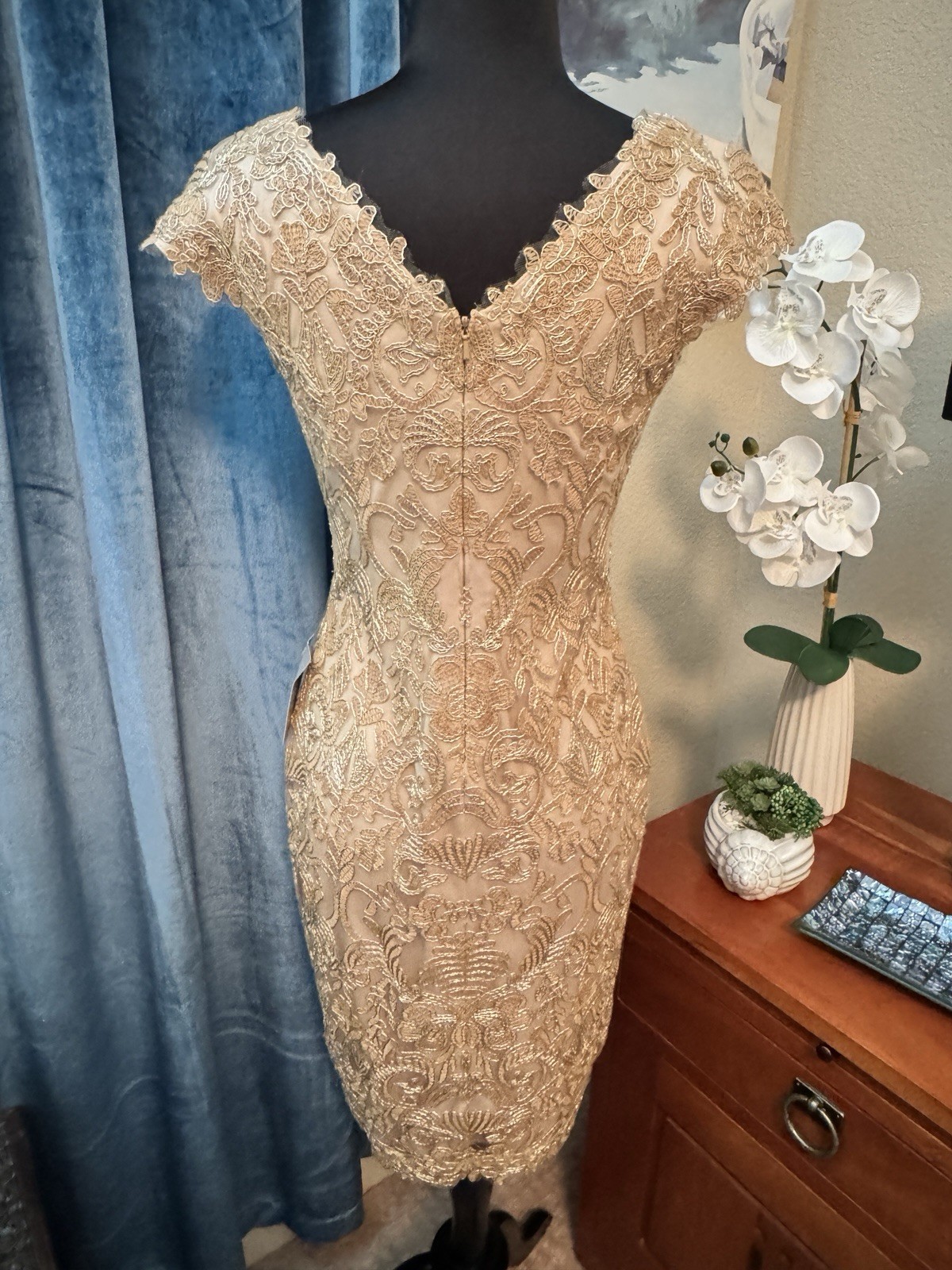 TADASHI SHOJI CORDED EMBROIDERED LACE DRESS SIZE 2