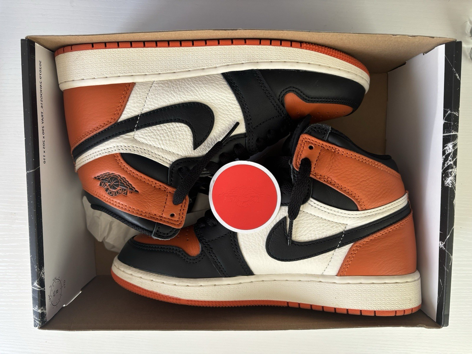 Nike Air Jordan 1 – Shattered Backboard Youth Size
