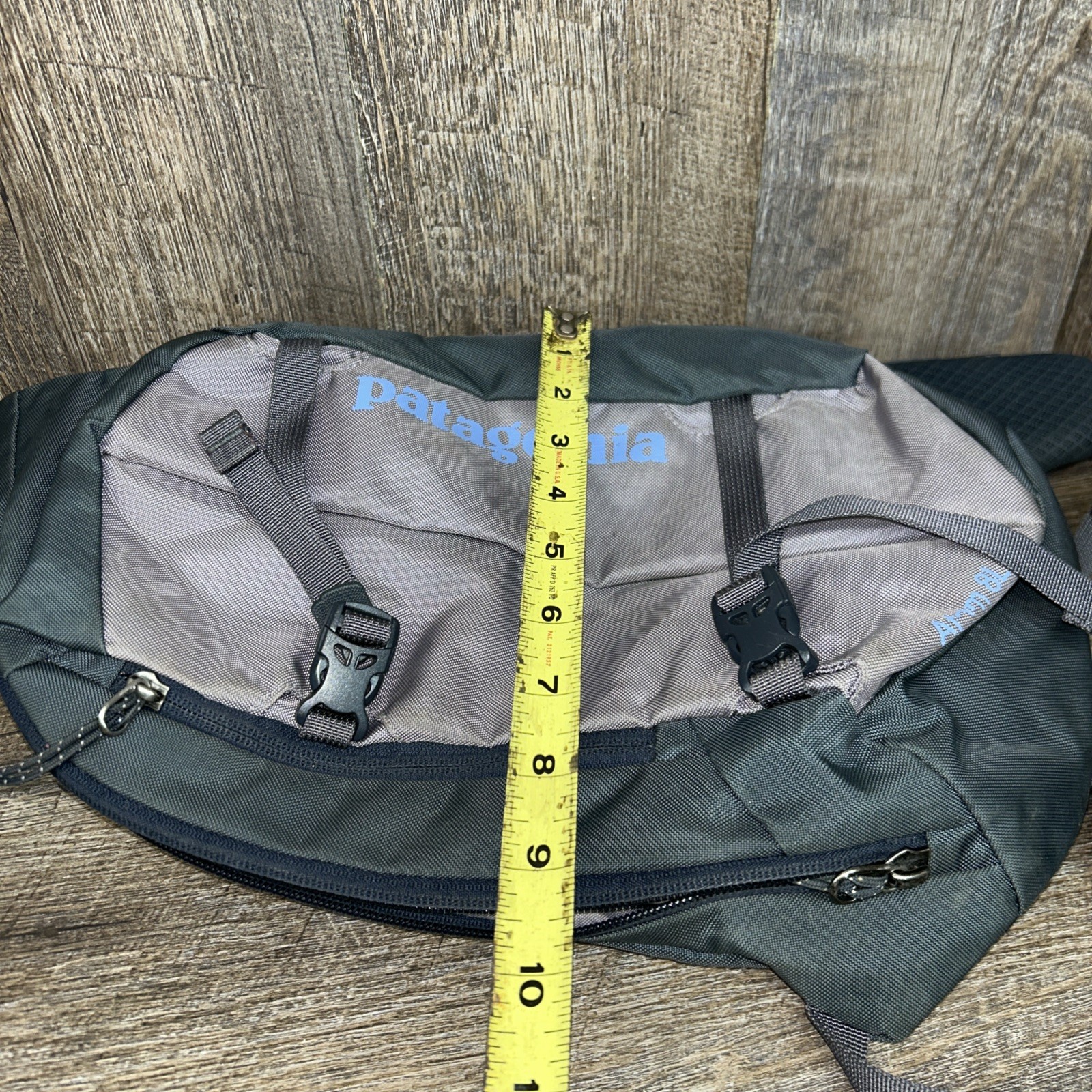 Gently Used Patagonia ATOM 8 Liter Crossbody Bag