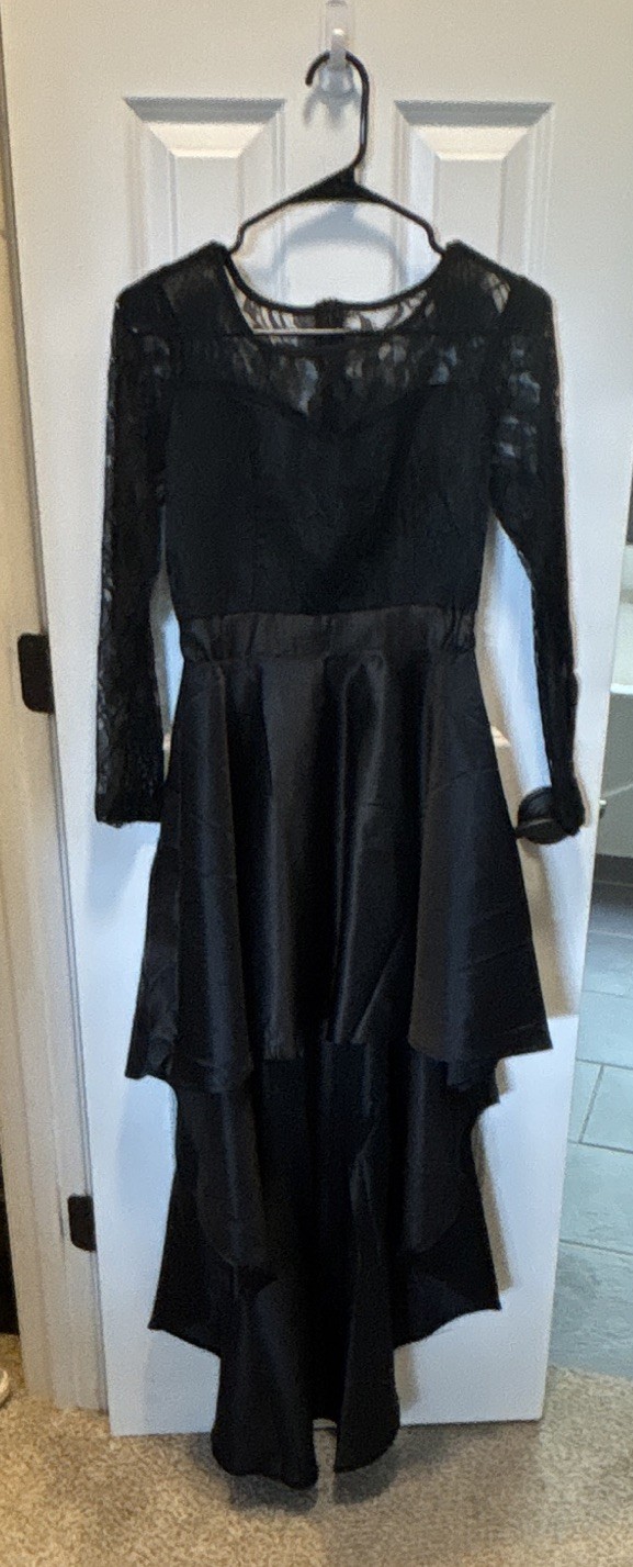 Black Lace Hi-Low Dress Women’s M Long Sleeve Sheer Round Neck Floral Zip