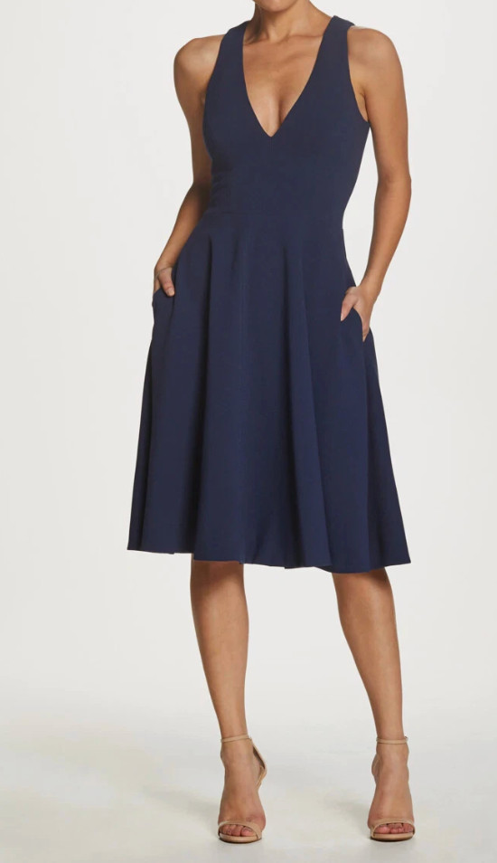 Dress The Population Catalina Fit & Flare Cocktail Dress (XS)