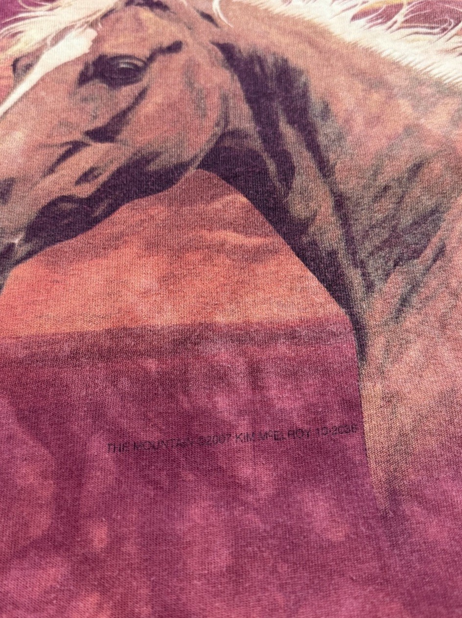 The Mountain Horse T-Shirt Men’s Large Y2K Nature Art Tie Dye 2007 Kim McElroy