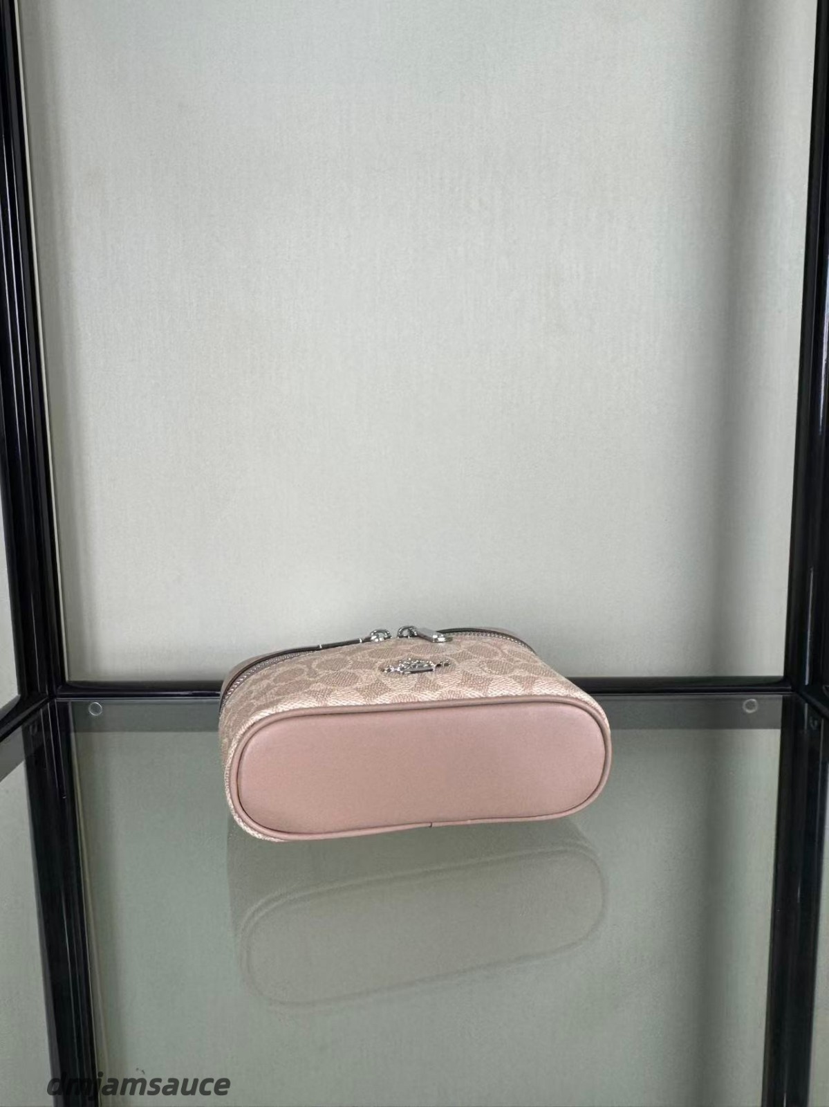 COACH Classic Monogram Vanity-Style Shoulder Bag for Women New Arrival