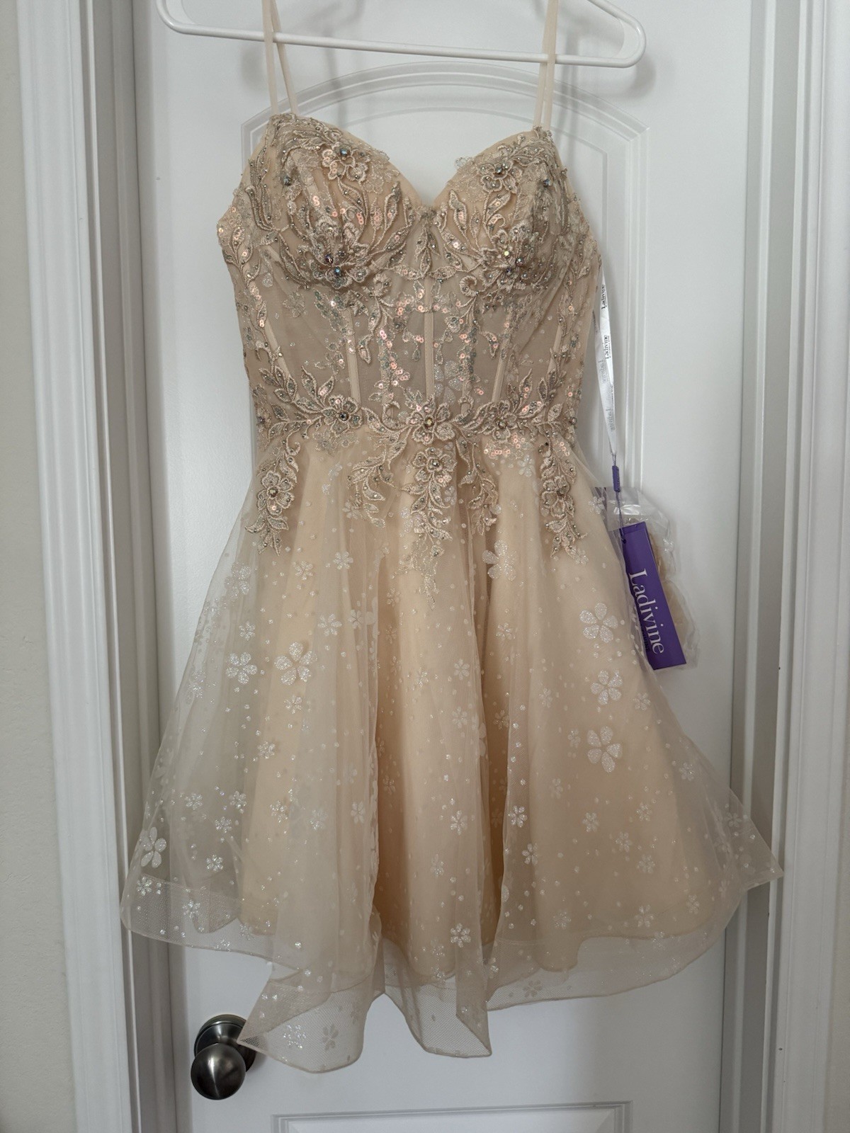 Ladivine by Cinderella Divine Short Beige Tulle Floral Embroidered Dress S