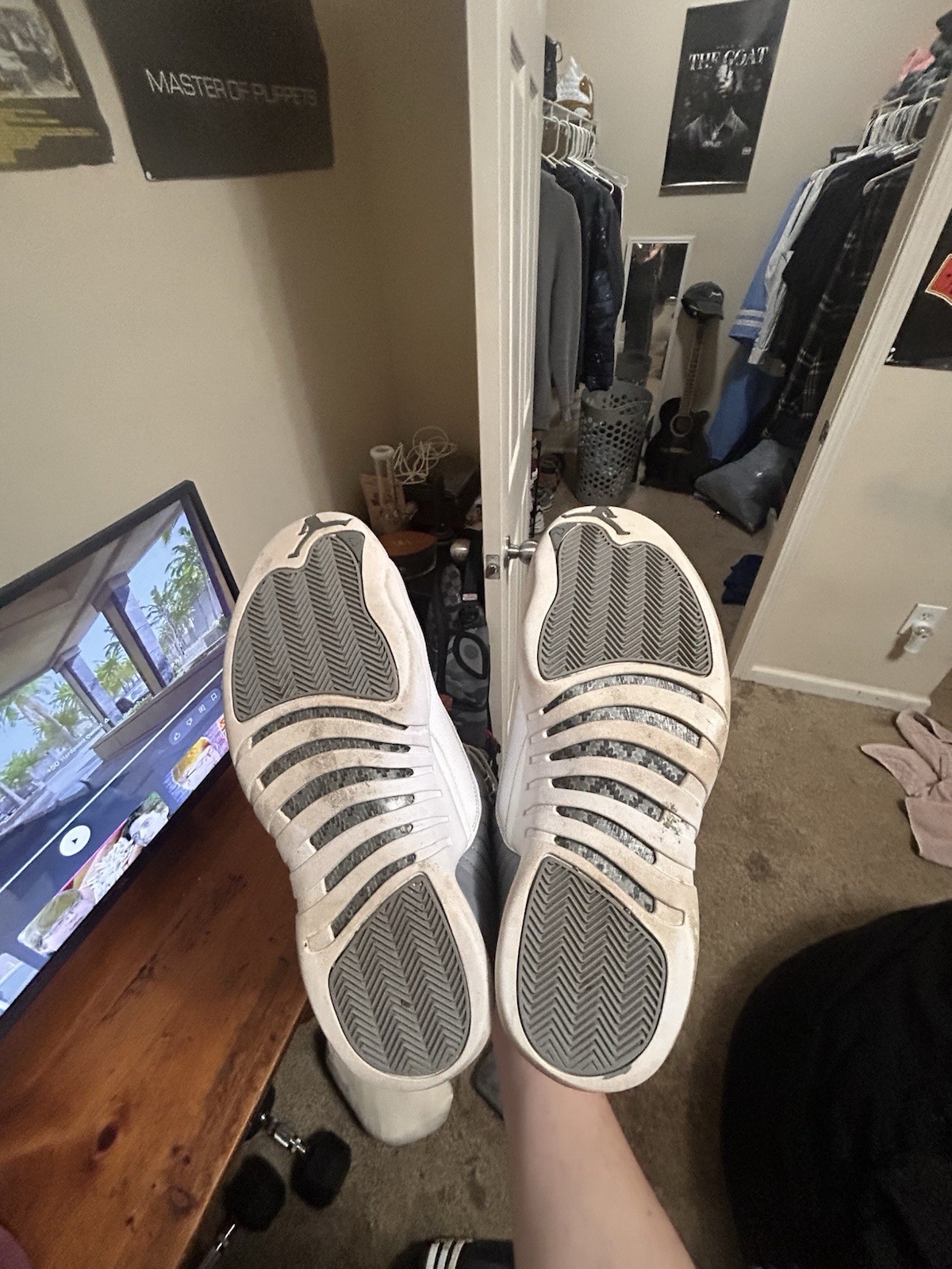 Jordan 12 Stealth
