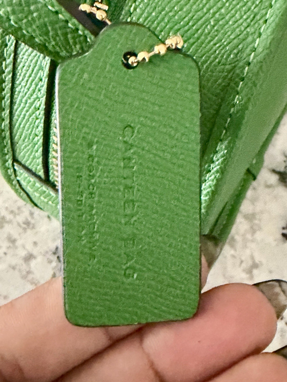 Coach Canteen Crossbody Bag Pebble Leather Gold/Kelly Green NWOT 75516