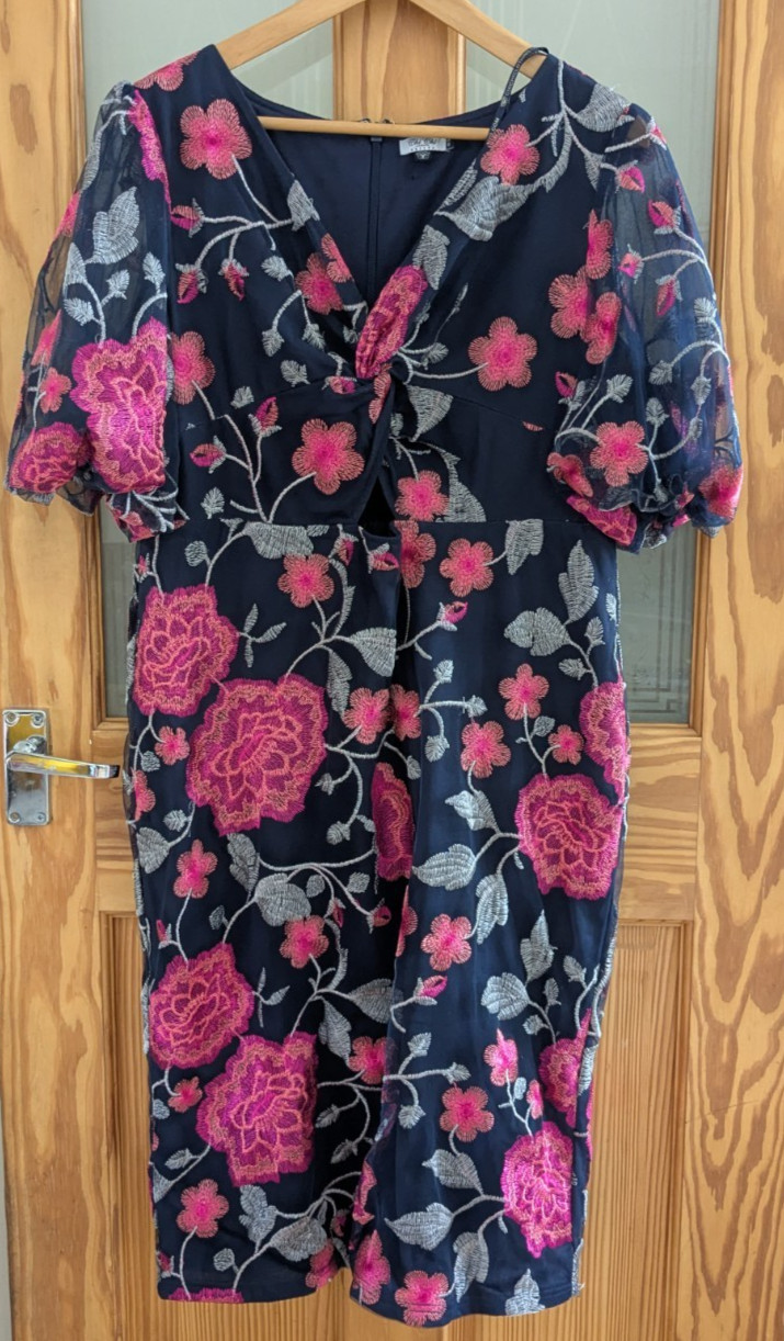 CHI CHI LONDON DESIGNER SPECIAL OCCASION / PARTY DRESS UK SIZE 16 PETITE