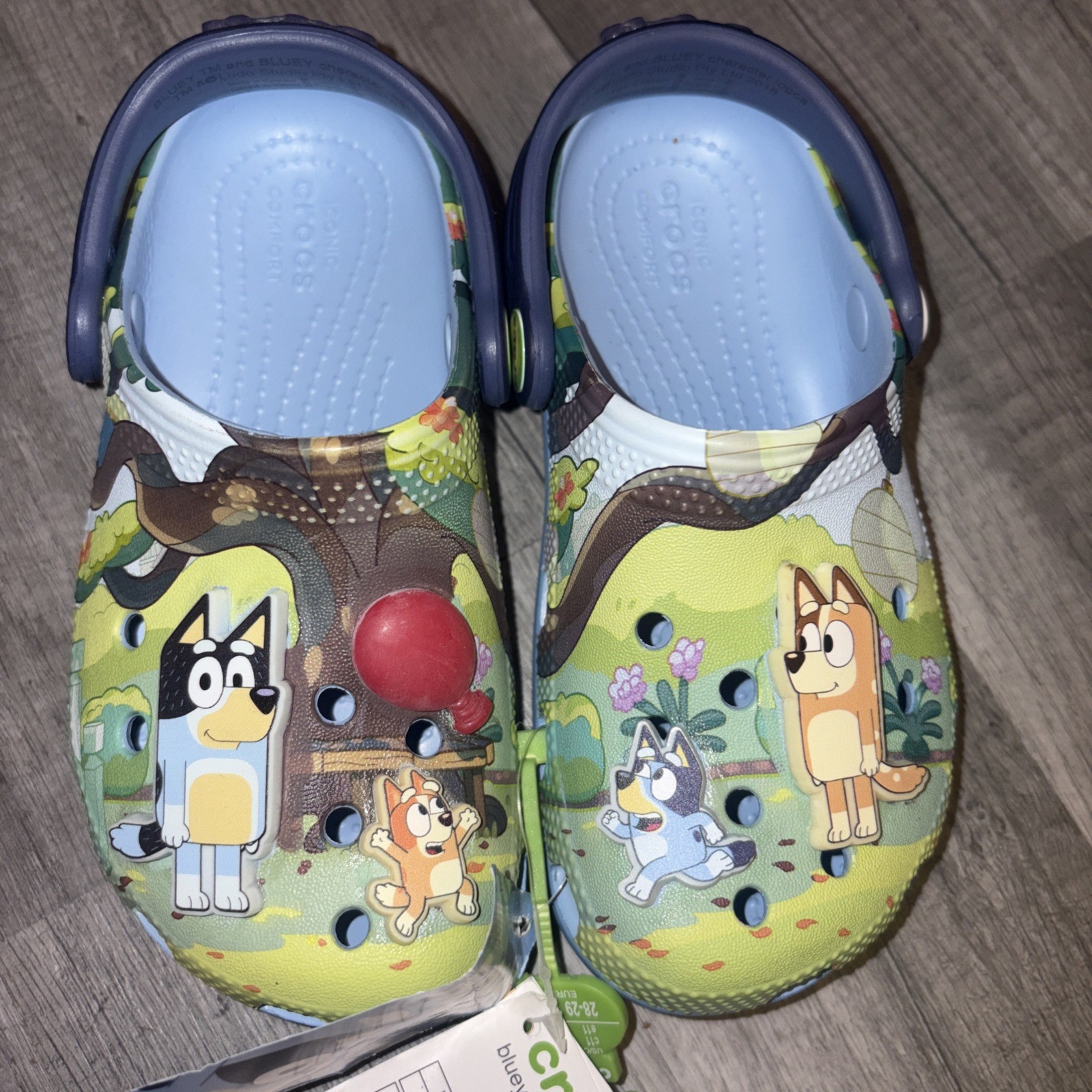 Bluey Classic Clog C11