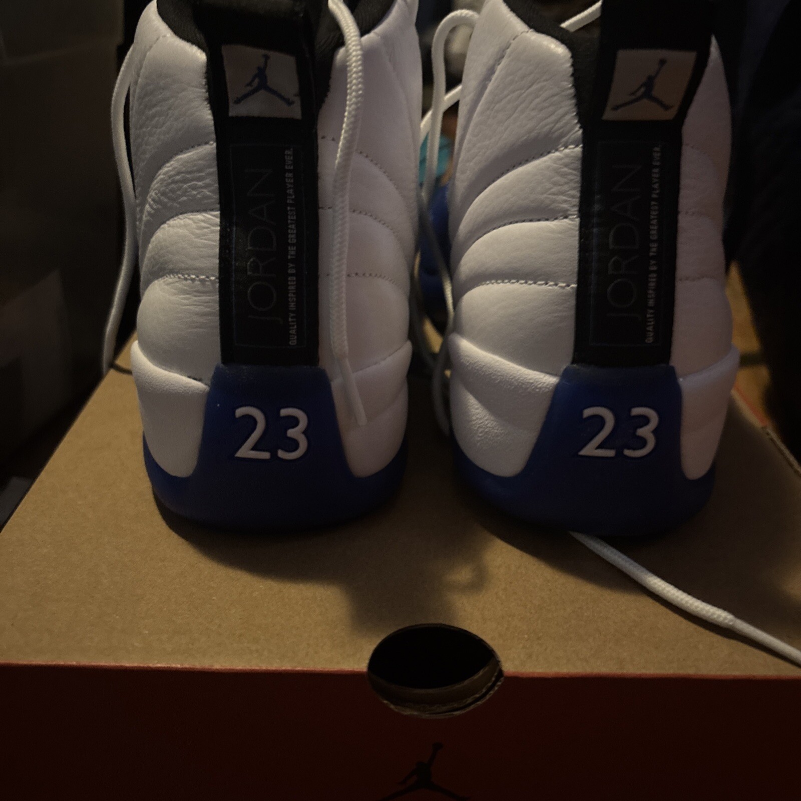 Air Jordan Retro 12