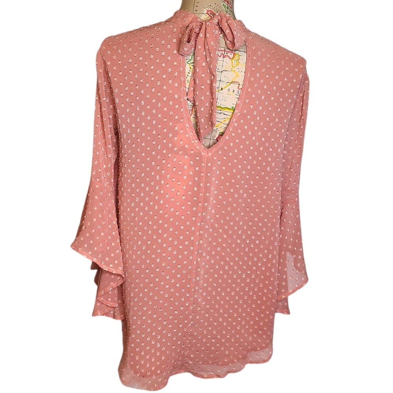 NWT Band of the Free Size Small Powder Pink Flowy Bohemian Ruffled Sleeve Blouse
