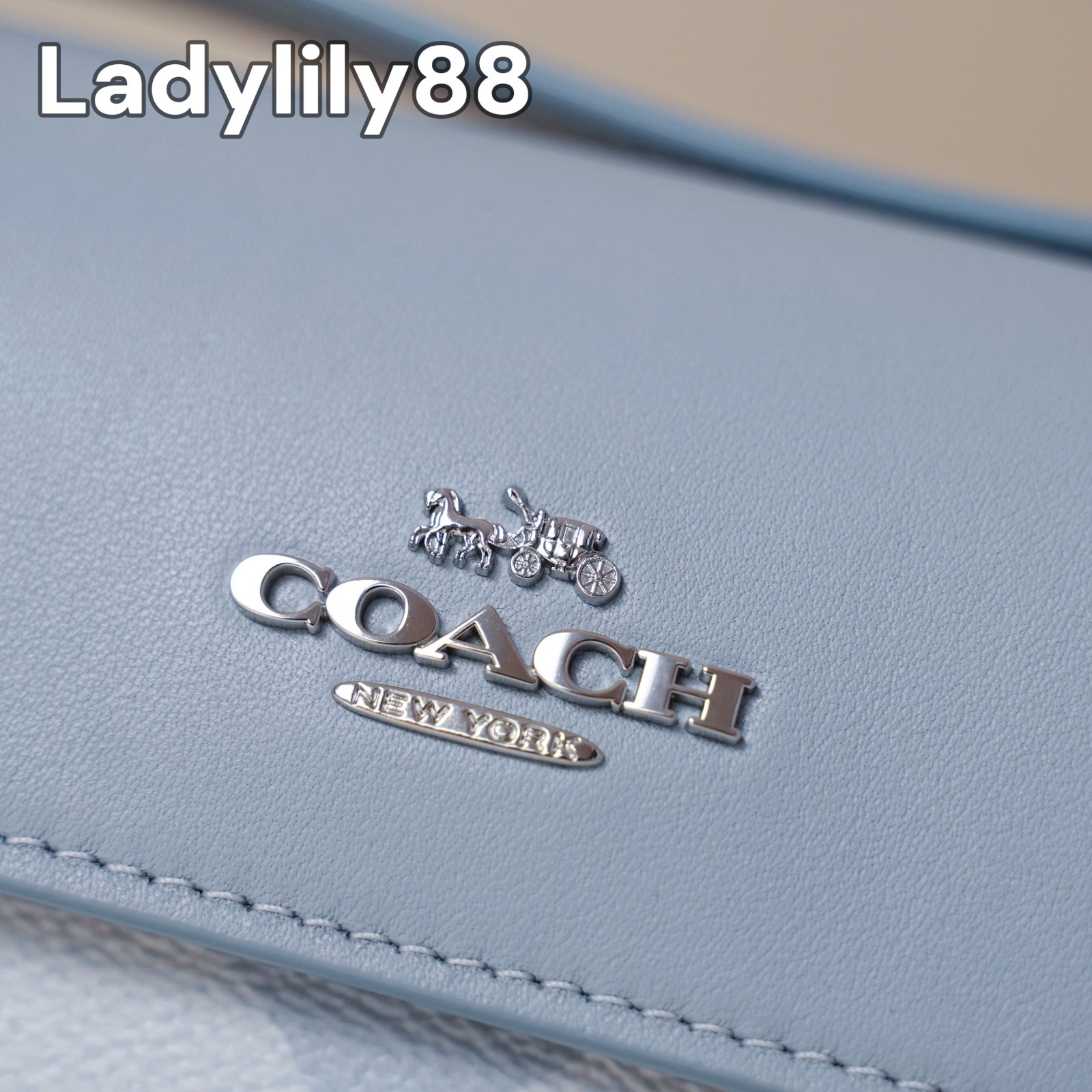 NWT Coach CBJ18 Hailey Flap Bag In Sketch Signature Canvas Smooth Leather $298
