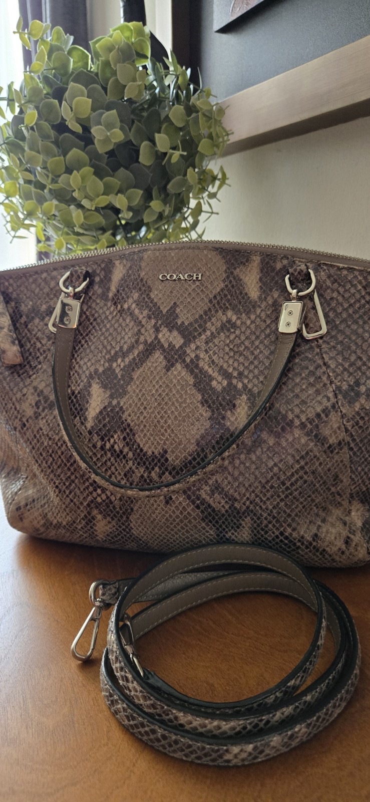 Coach Madison Sophia Grey Snake EUC