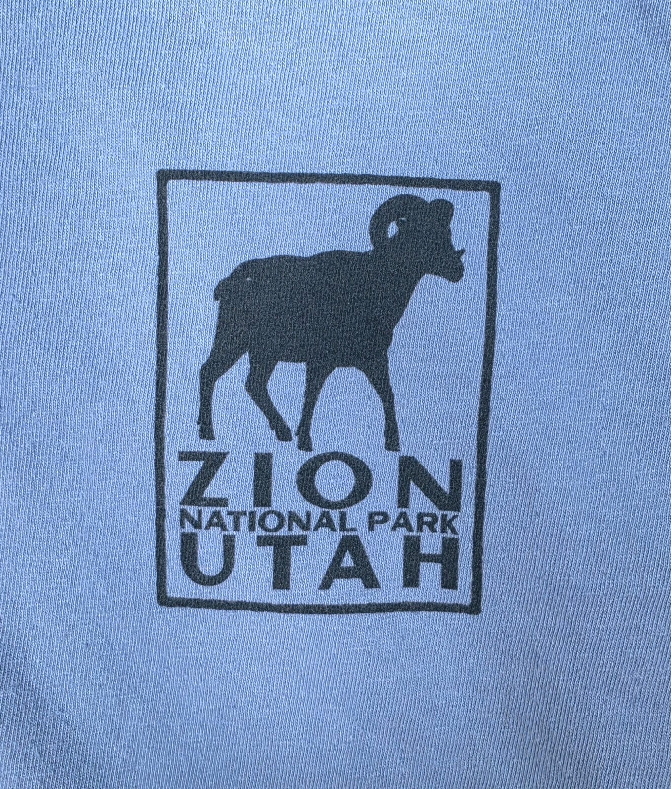 Zion National Park Graphic T-shirt/Cornflower Blue/Men’s Size L