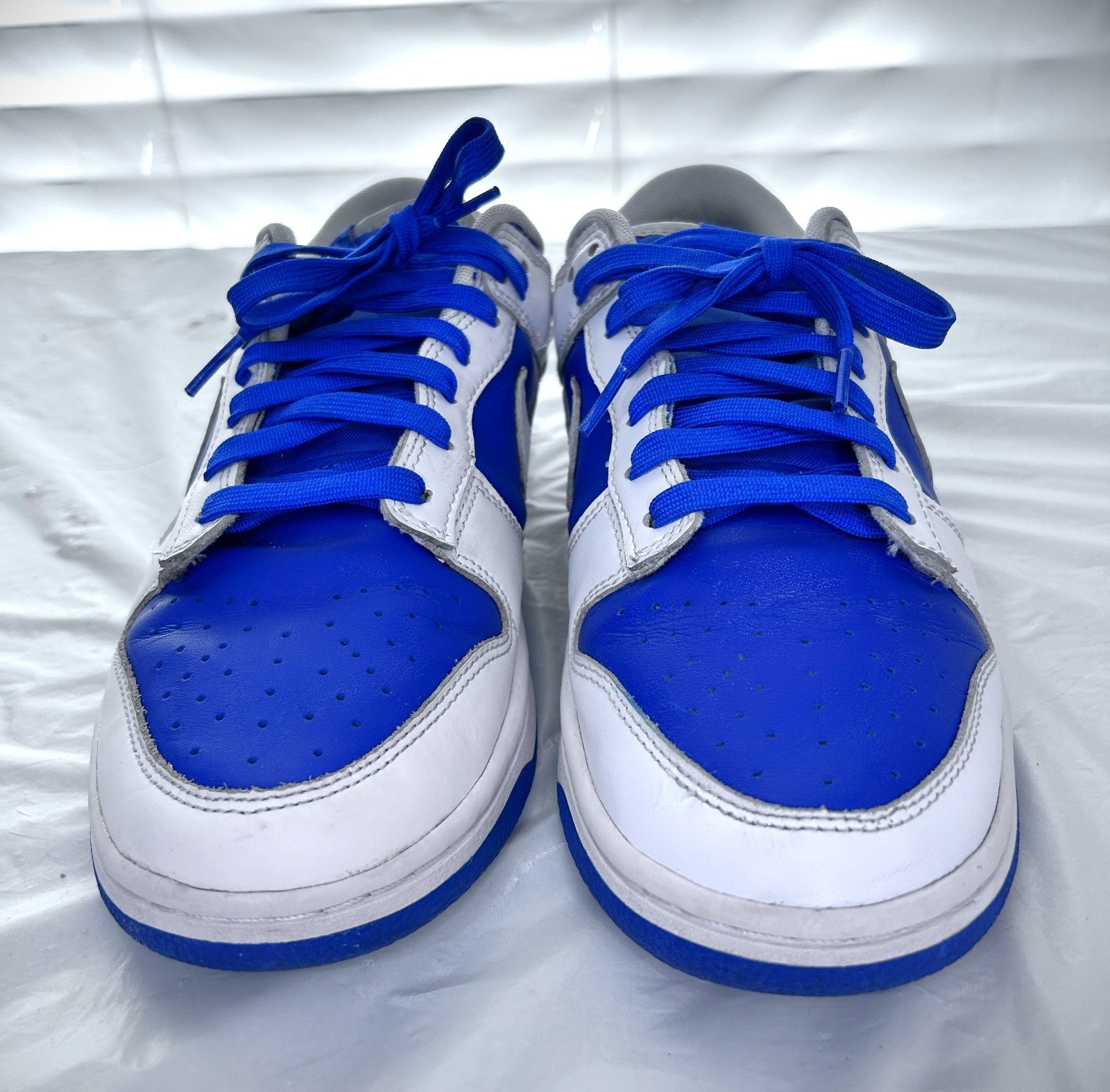 Nike Dunk Low Racer Blue/White Shoe DD1391-401 Size 9M/10.5W