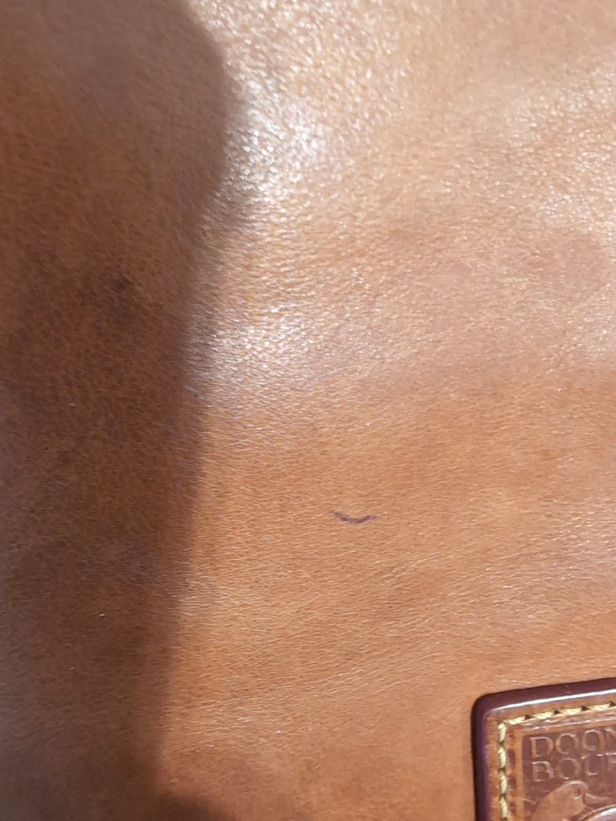Dooney & Bourke Florentine Leather Dixon Hobo Crossbody Bag BROWN