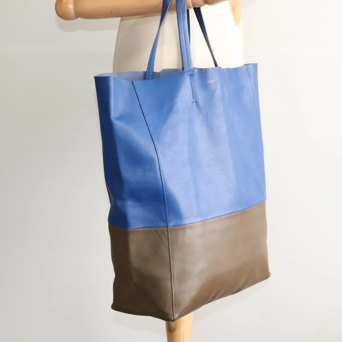 Celine Vertical Cabas Tote Leather Multicolour Tote Bag