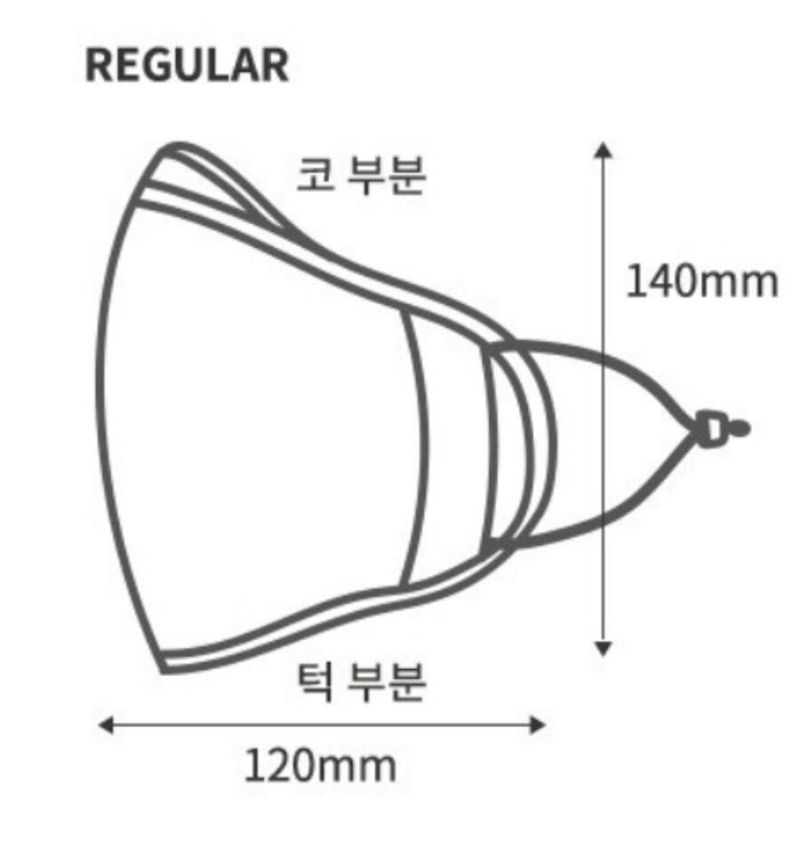 [BTS]TinyTAN Premium Face Mask Official Limited Edition MetalGray with Tracking