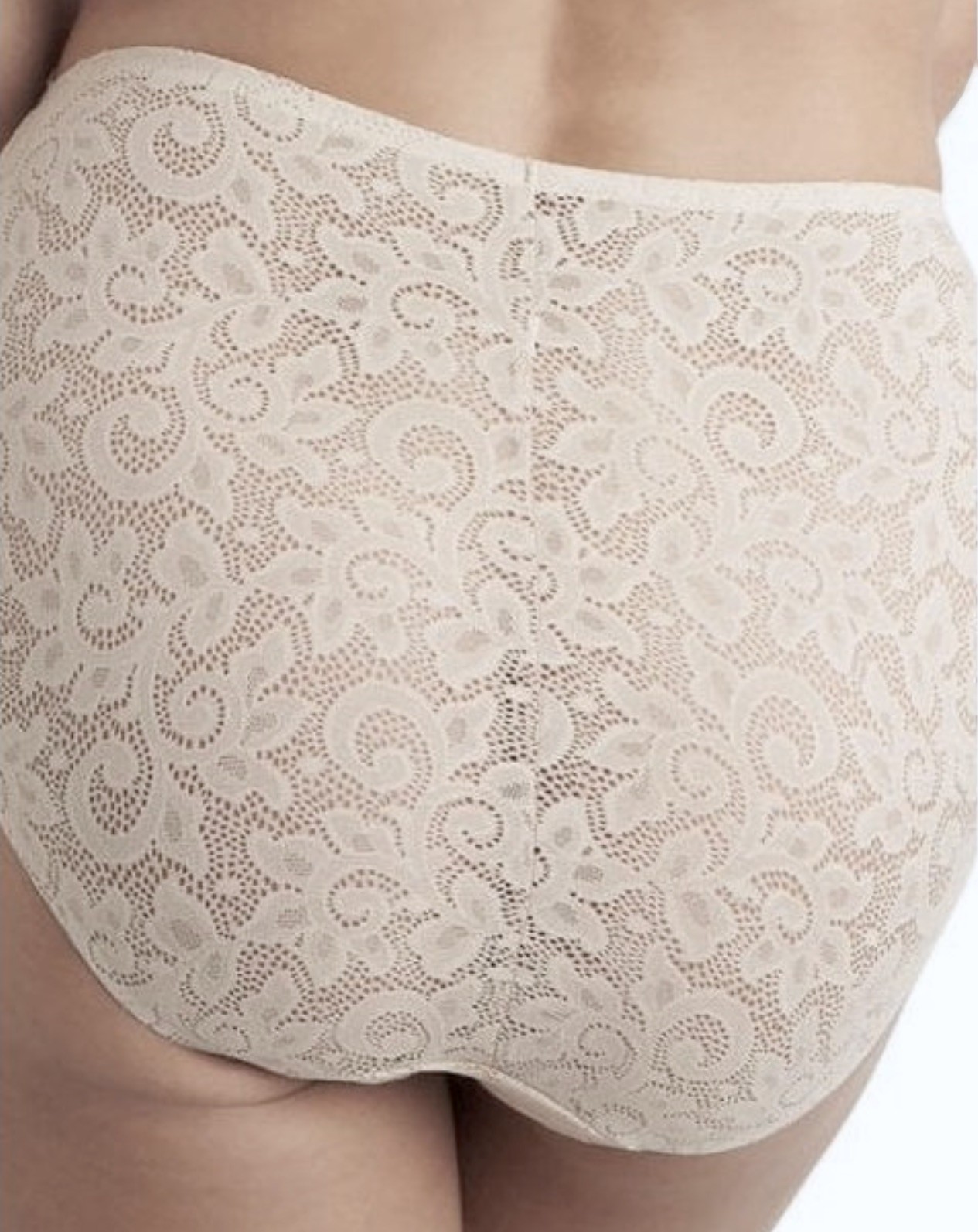 TC FINE INTIMATES Edge Allover Lace Whitecap Brief Panty Womens XL 8 2XL 9
