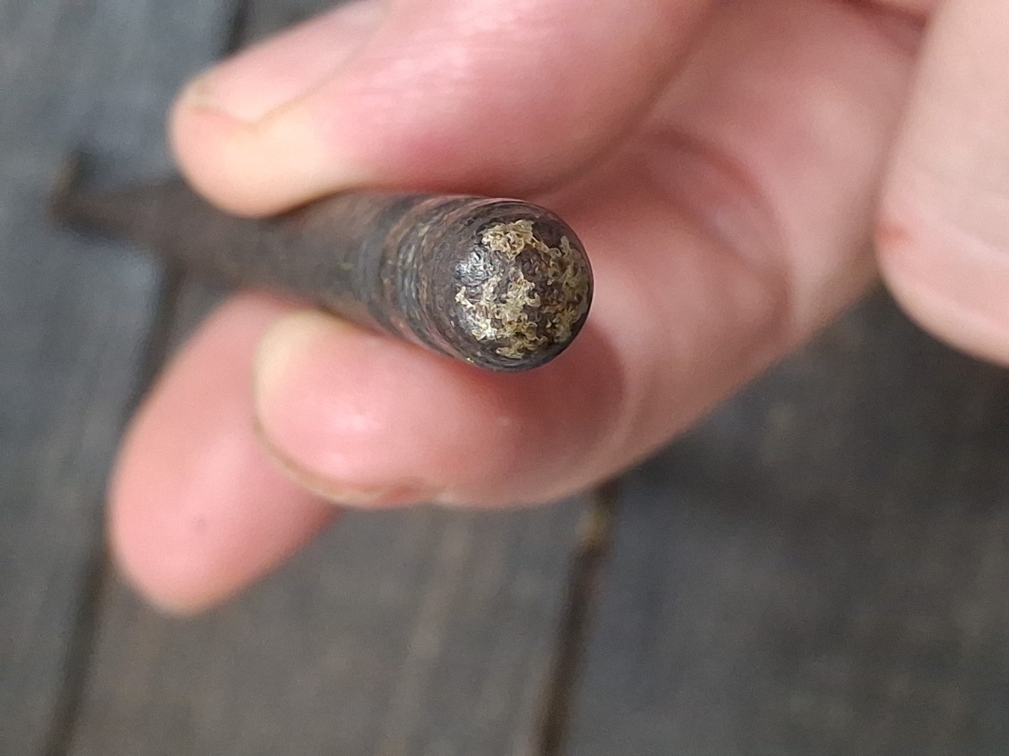 Vintage Button Hook Victorian Button Hook