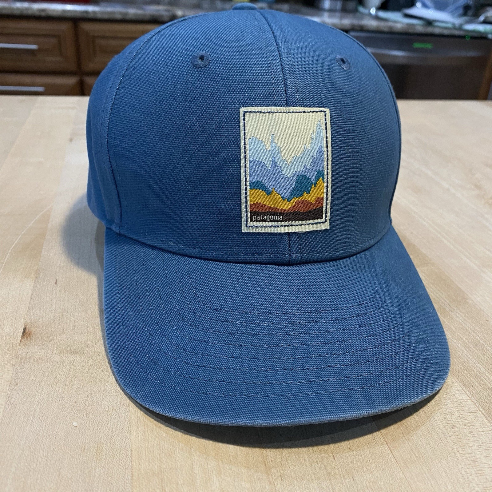 Patagonia Graphed Roger That Hat – Glass Blue