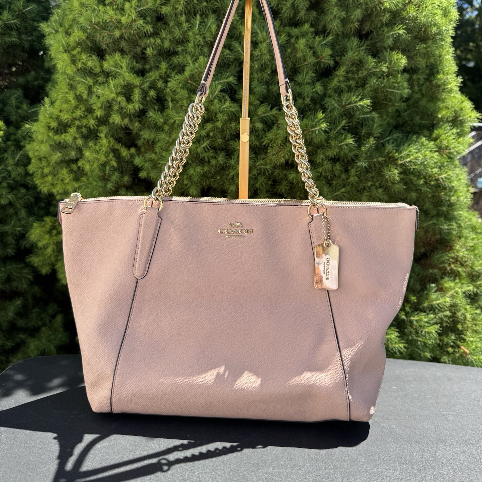 Coach Ava Chain Tote Handbag Pink Pebbled Leather