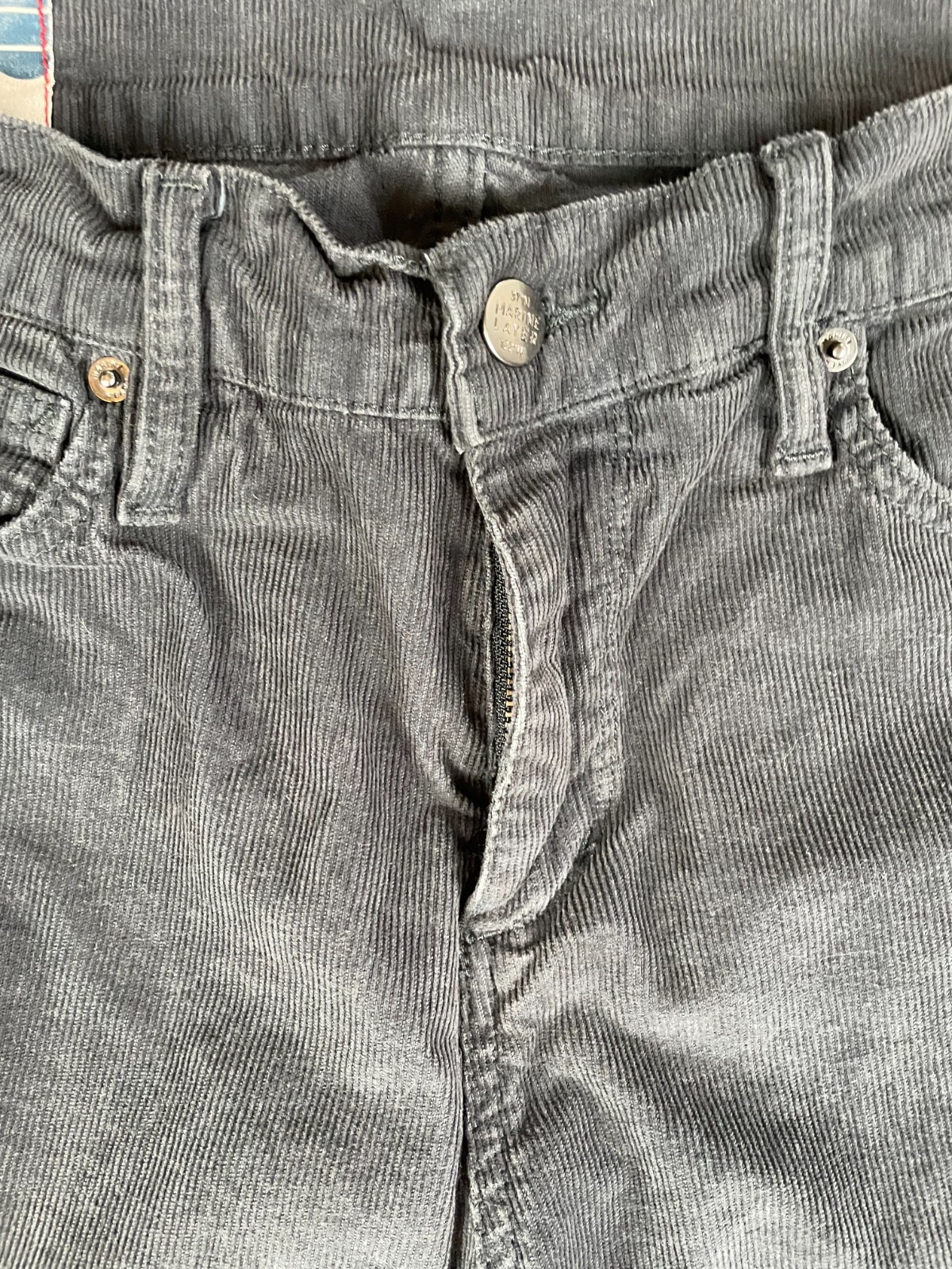 Marine Layer Pants Mens 30 x 32 Slim Straight Cambridge Corduroy Dark Academia
