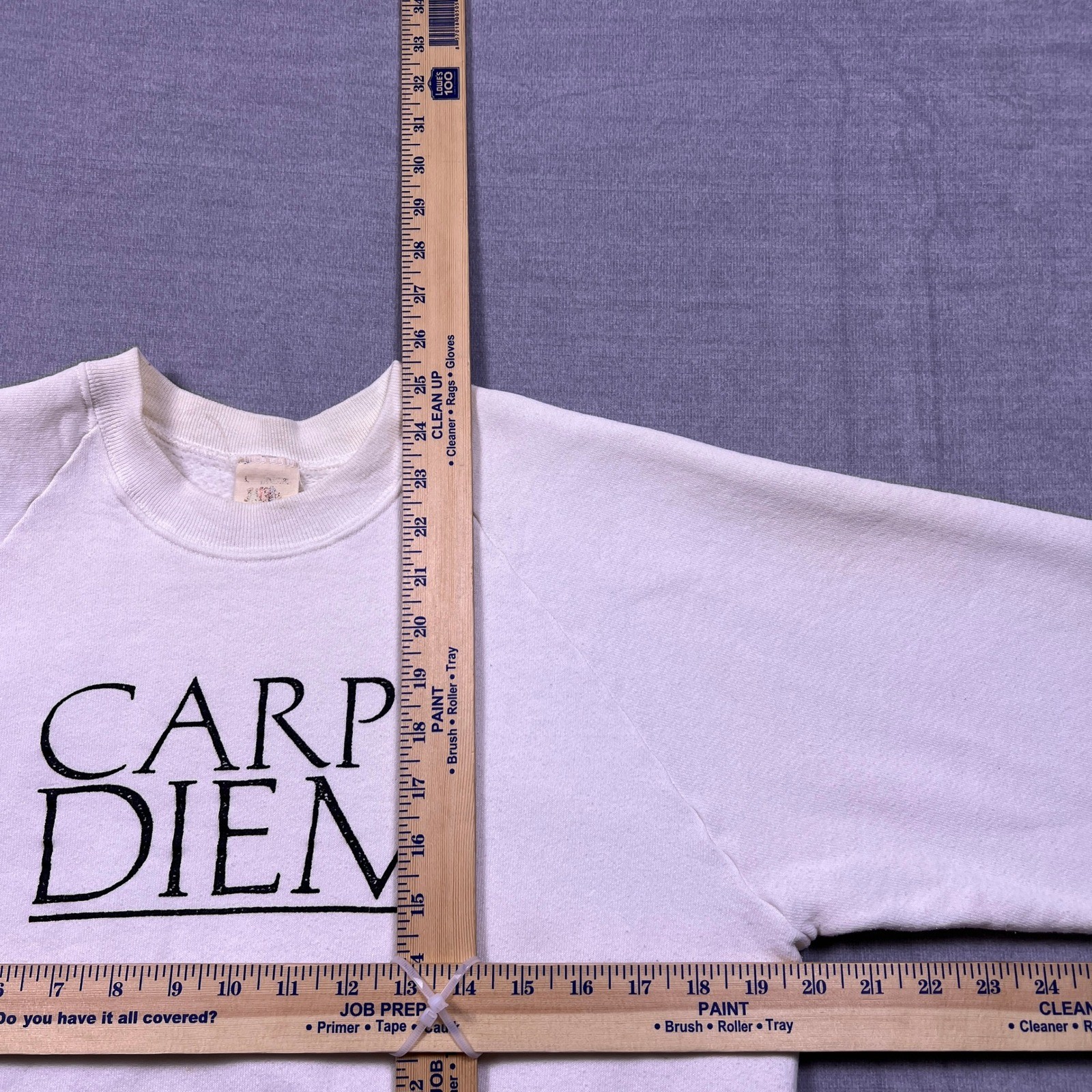 Vintage Carpe Diem Seize The Day Sweatshirt Mens Large White Raglan Crewneck
