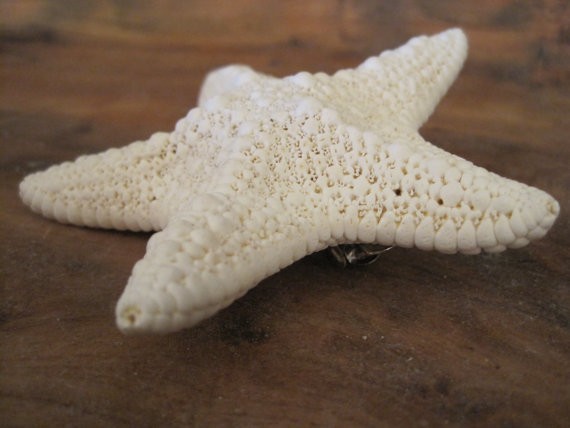 White Common Starfish Barrette – Beach Wedding – Starfish Hair Clip – Hair Pin