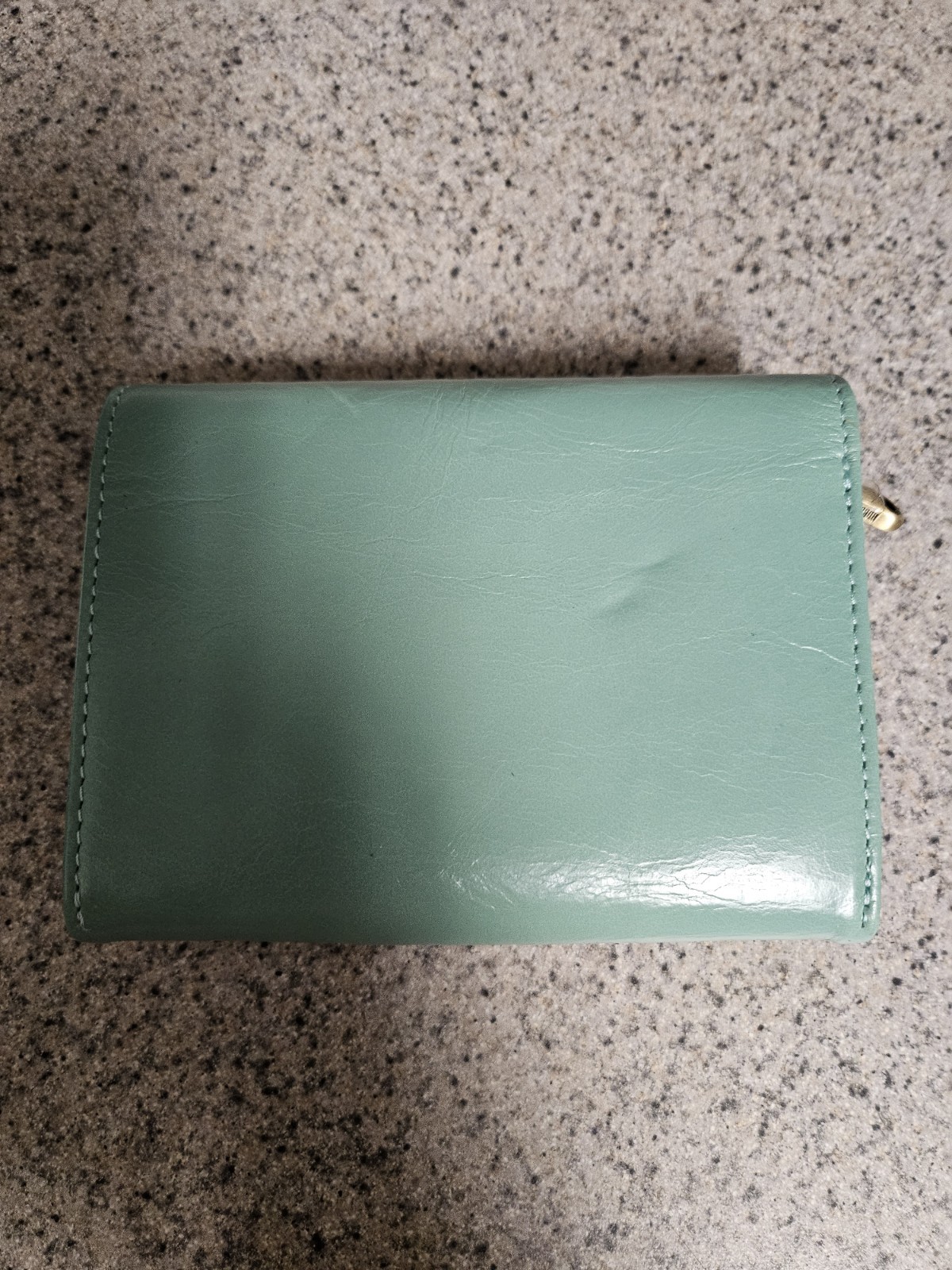 HOBO Mint Green Frame-Top Clutch Wallet with Gold Hardware (HOBO Robin Compact )