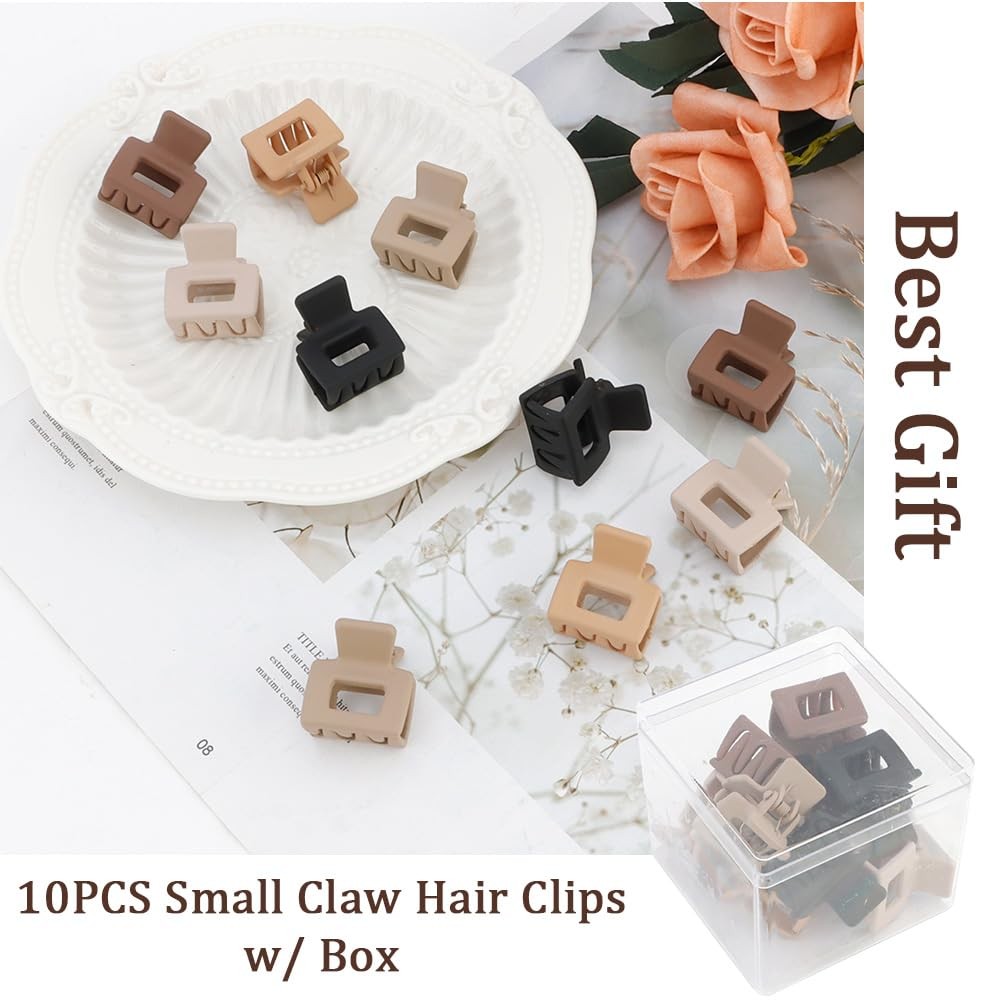 10Pcs Small Hair Clips 1 Count (Pack of 10), Black and Neutral Colors Matte
