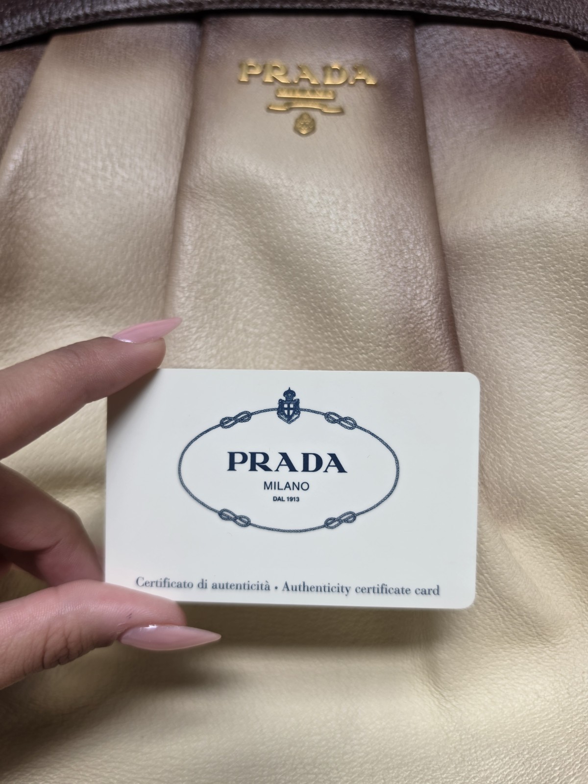 Prada Cinghiale Medium Pleated Frame Satchel Bag