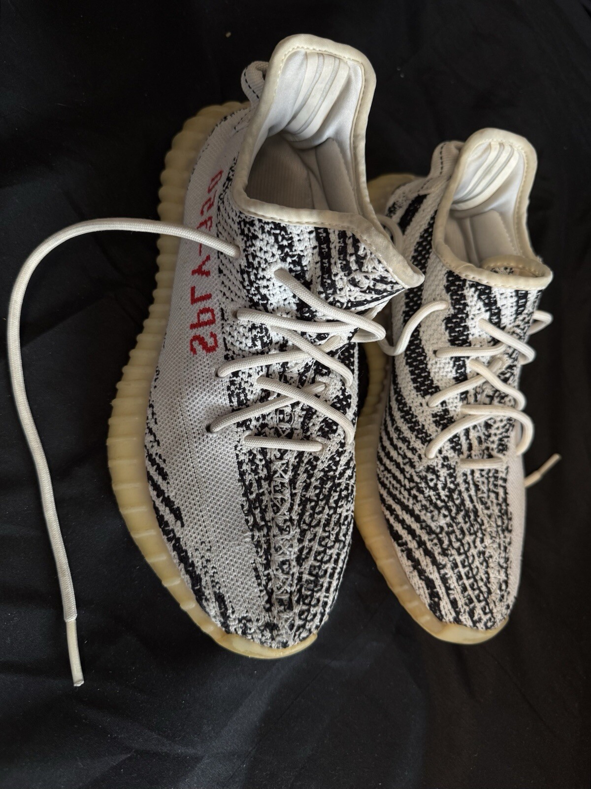 Yeezy Zebra Size 8