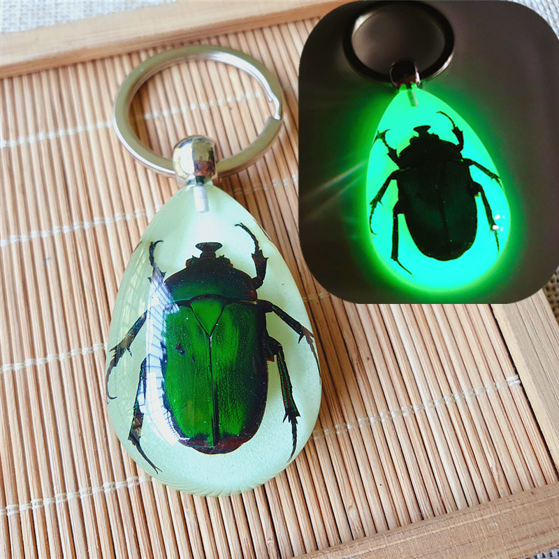 Luminous key chain amber insect ornament holiday gift crab seahorse ant flower