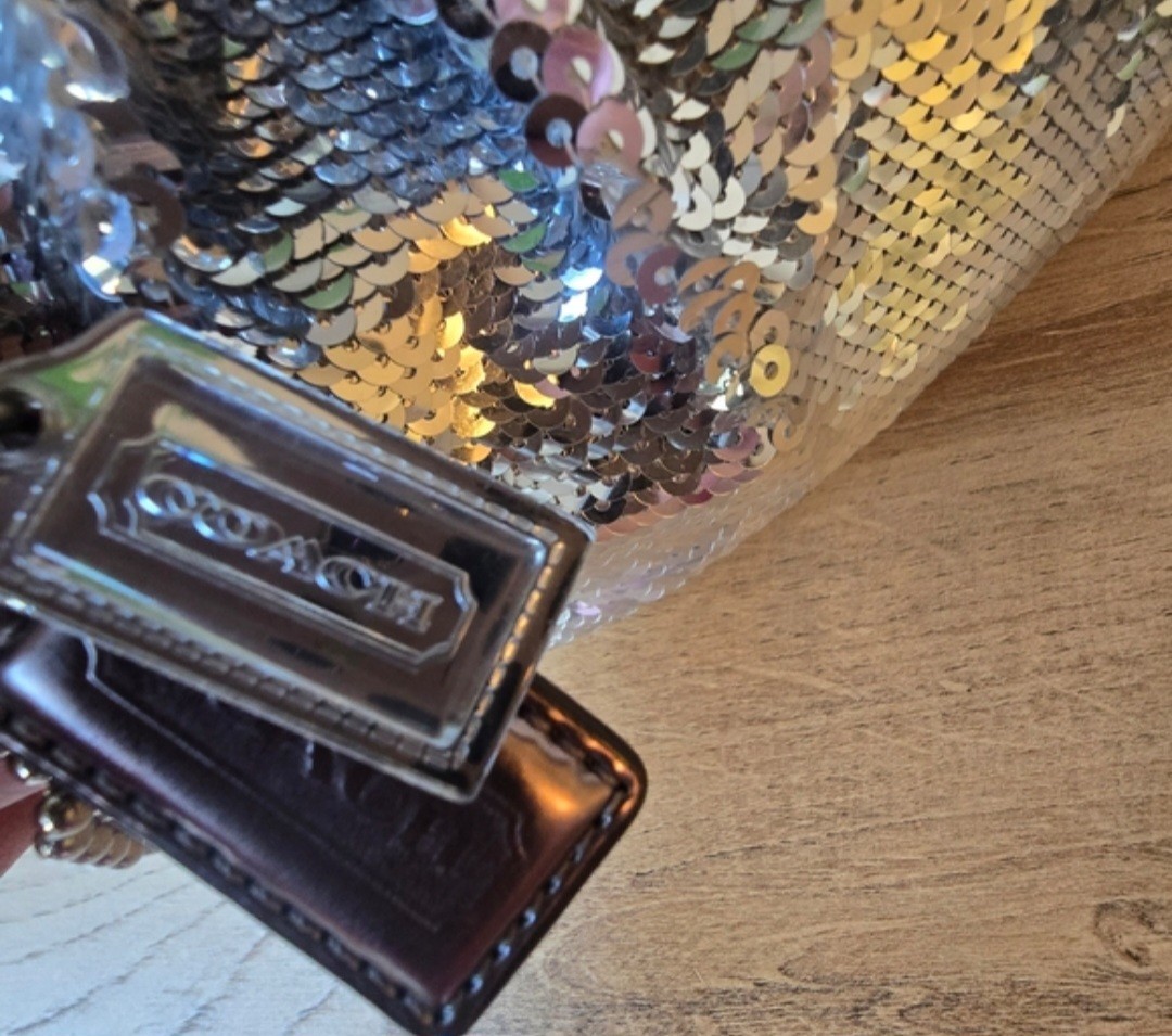 Coach Graduation Poppy Sequin Clutch Party bag