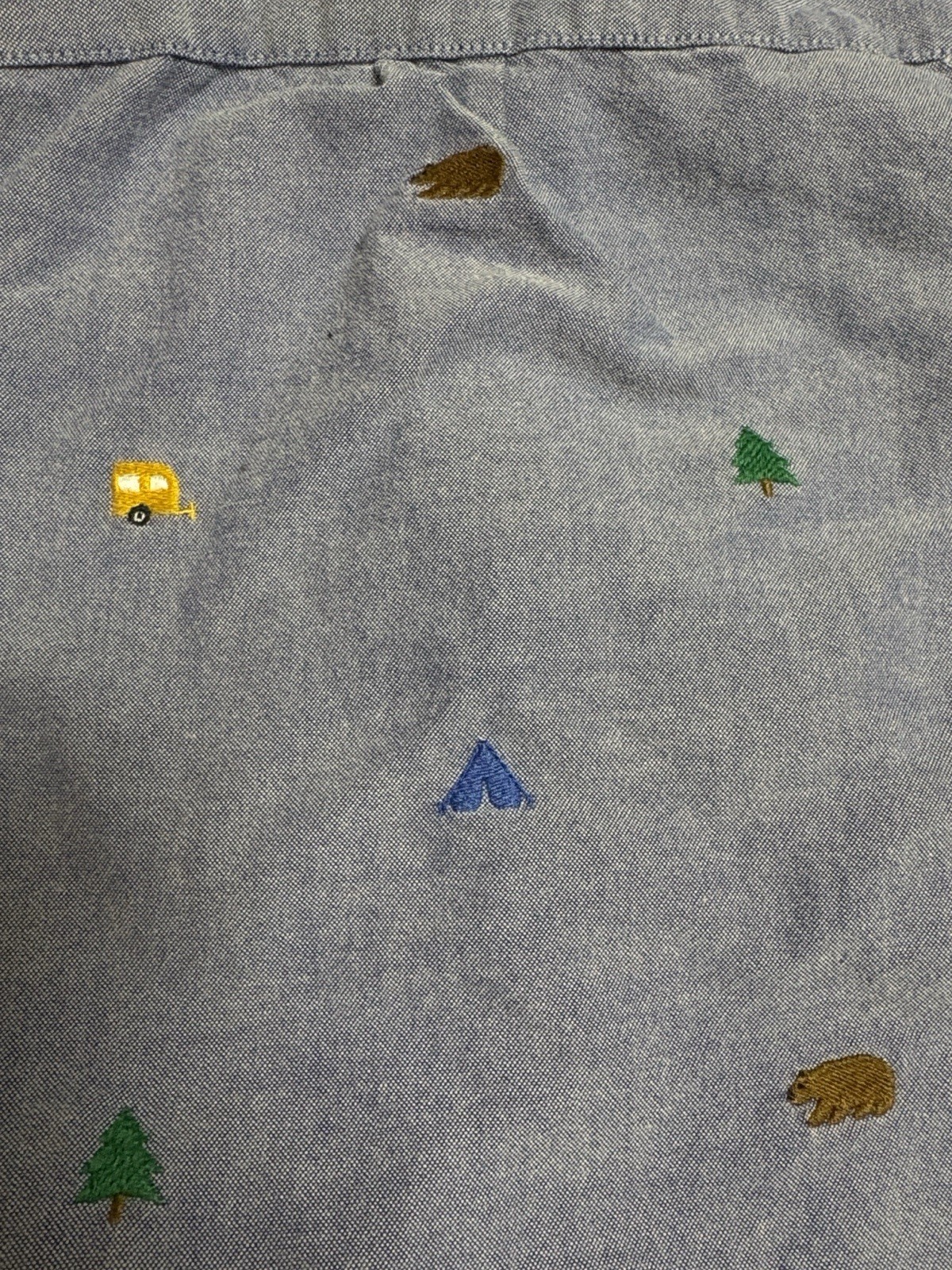 Janie and Jack Blue Chambray Adventure Embroidered Button-Down Shirt