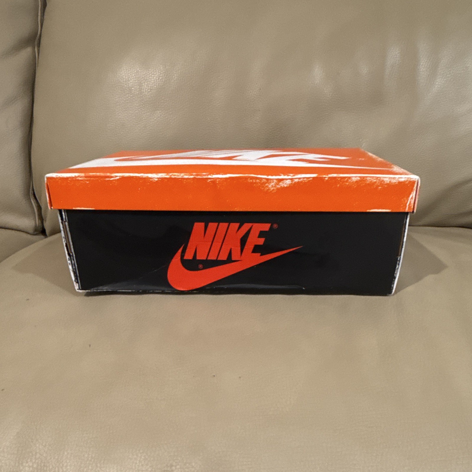 Nike Jordan 1s Lost and Found
