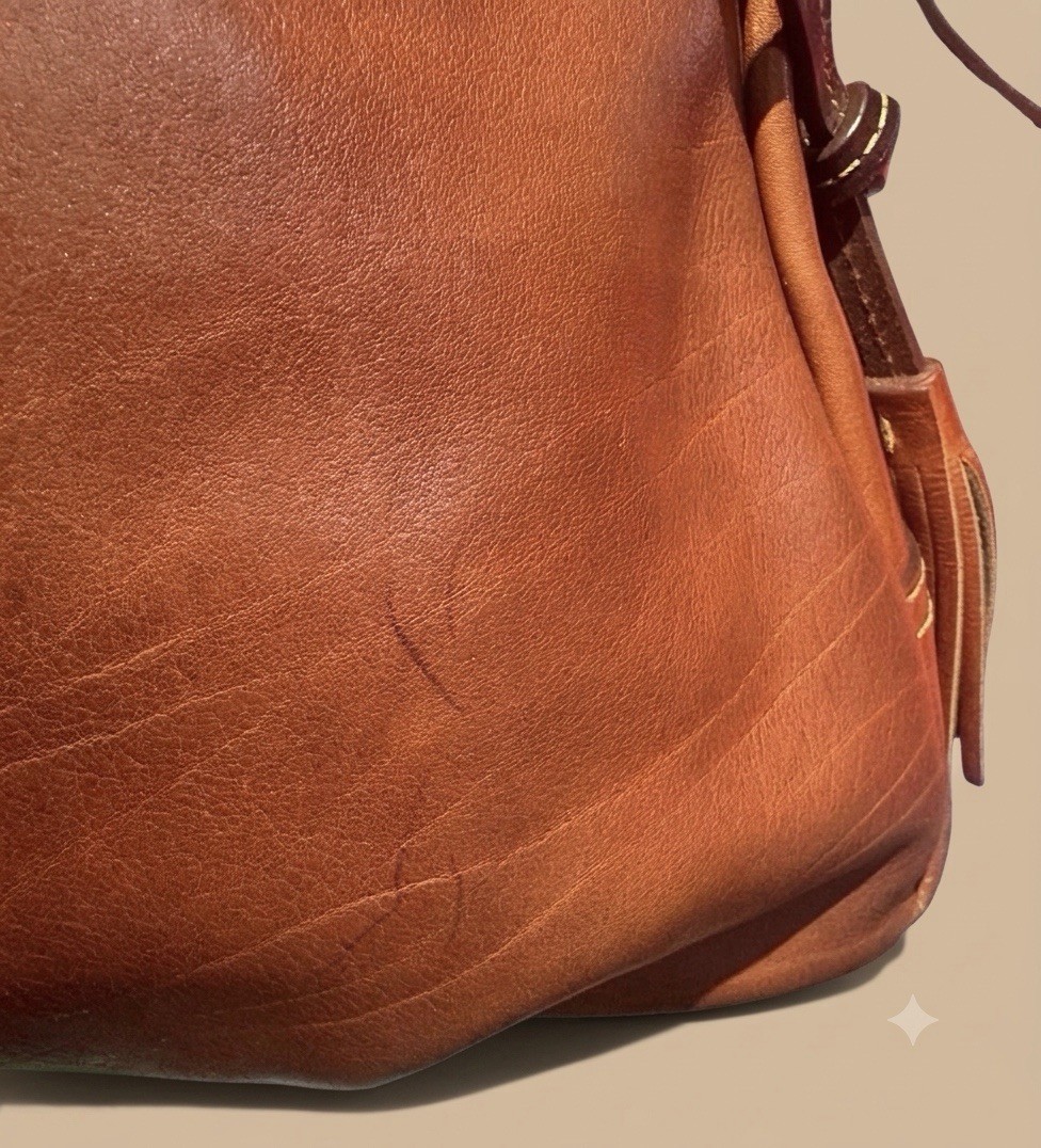 Dooney & Bourke Women’s Brown Hobo Shoulder Bag Zip Tassel Gold Hardware