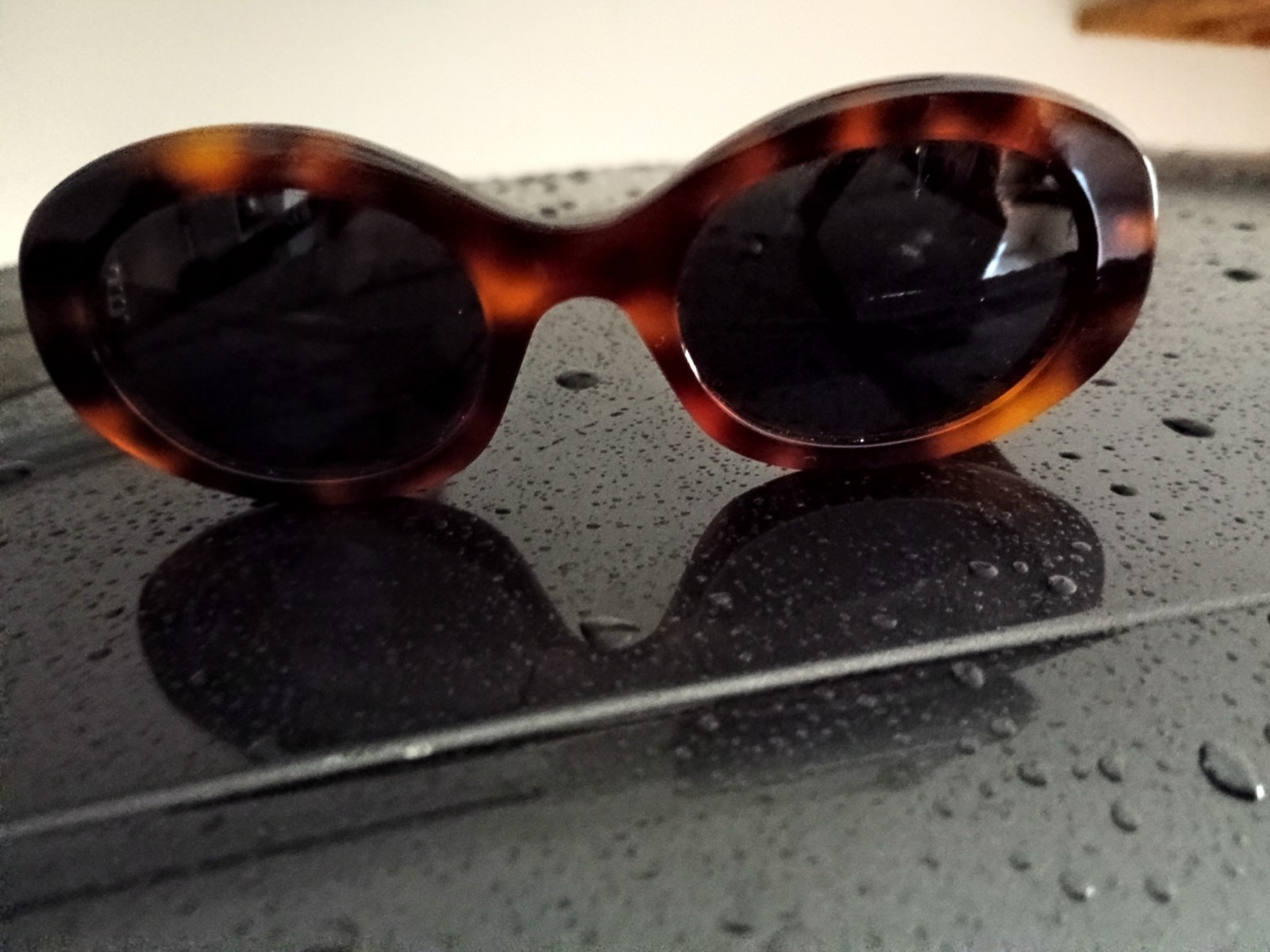 CELINE CL40194U 53A Tortoise Shell Oval Sunglasses Black Lens 52-22 145