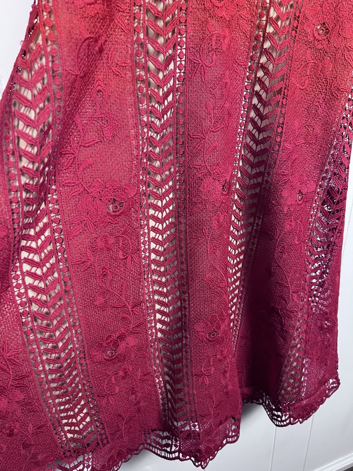 Anthropologie Red Lace Sleeveless A-Line Dress size 4