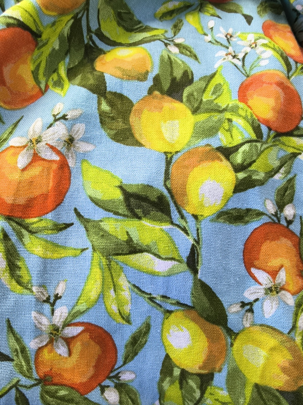 Women Large Free Assembly Linen Blend Maxi Dress Fruit Lemon Oranges Print Dress