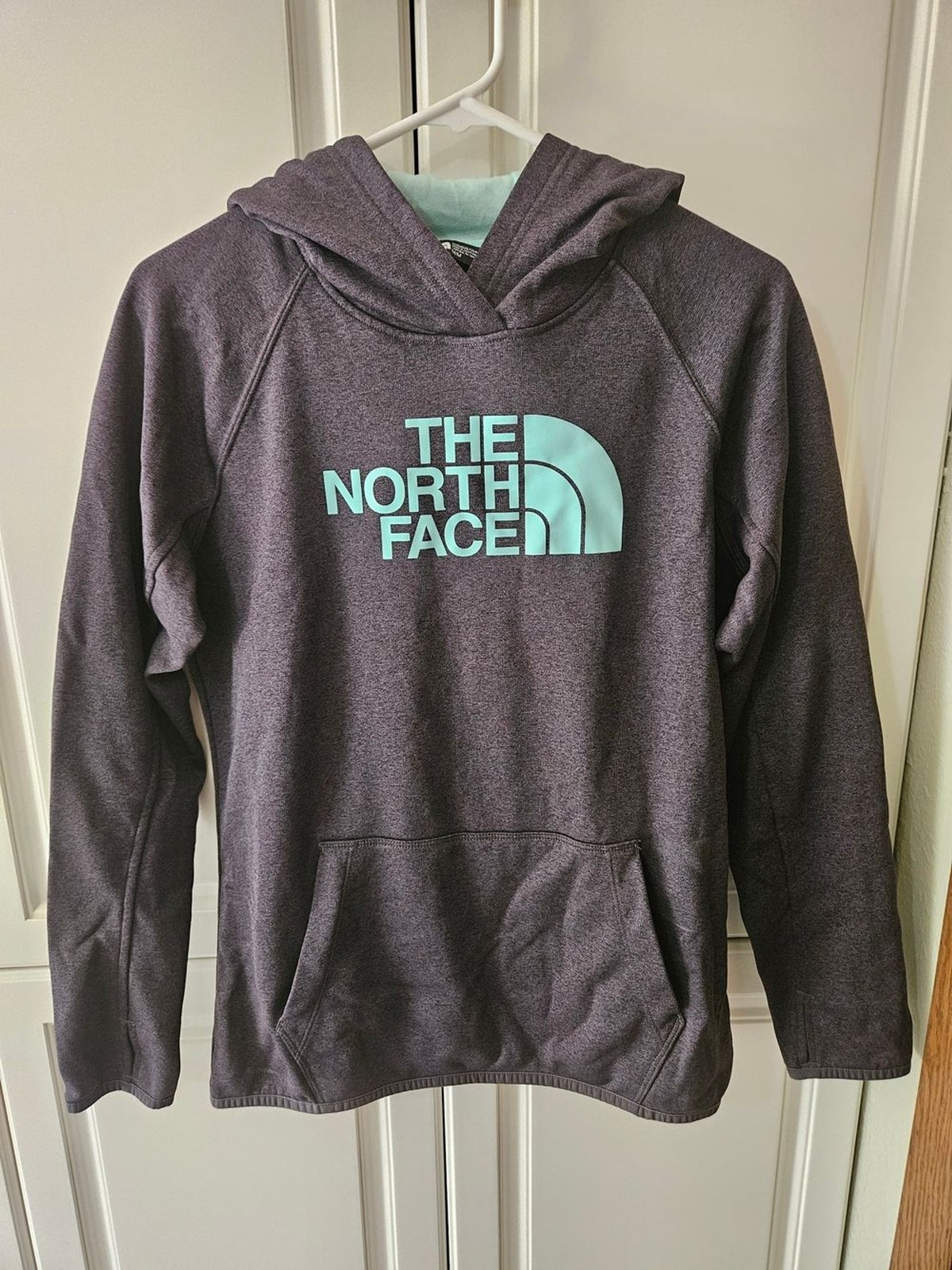 TNF Hoodie Charcoal Gray Blue Green Logo Gorpcore Sporty Casual Outdoor Granola