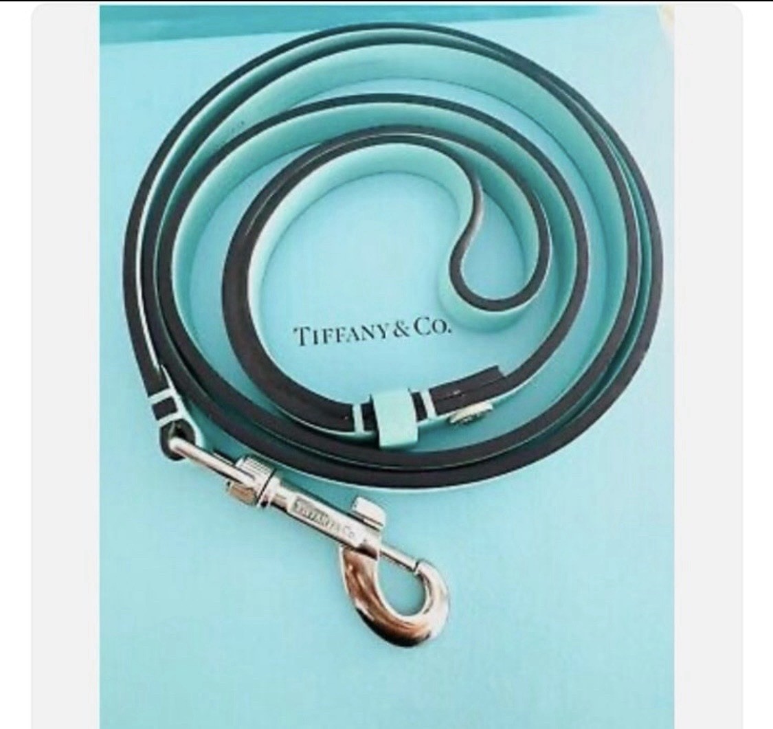 Tiffany & Co. Genuine Leather Dog Leash Swivel Hook Clasp Turquoise