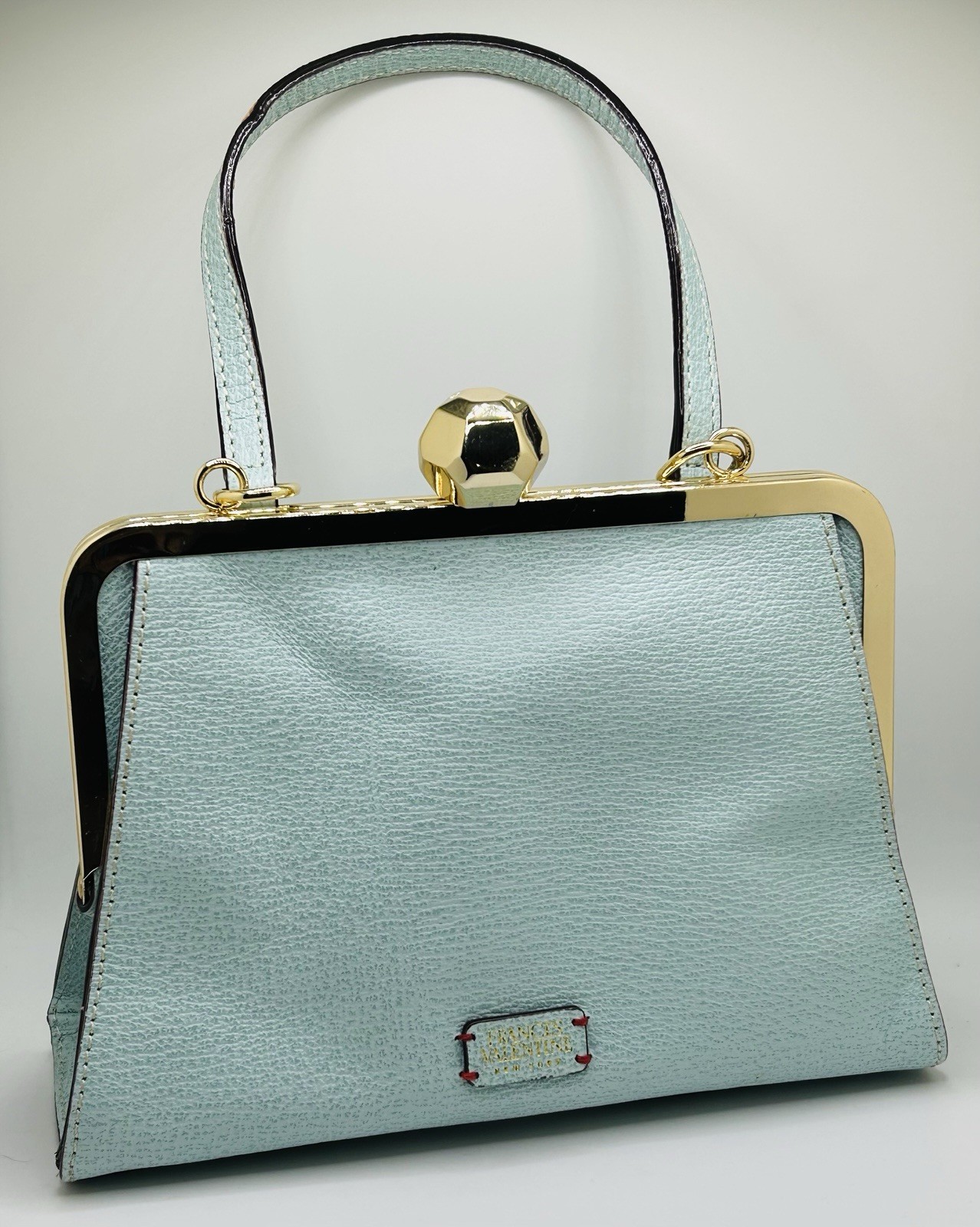 Frances Valentine Jackie Frame Light Aqua Boar Skin Handbag or Crossbody Bag