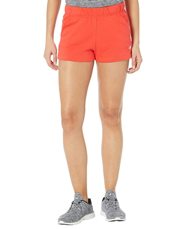 The North Face Logo Shorts Horizon Red Size 2XL 3631
